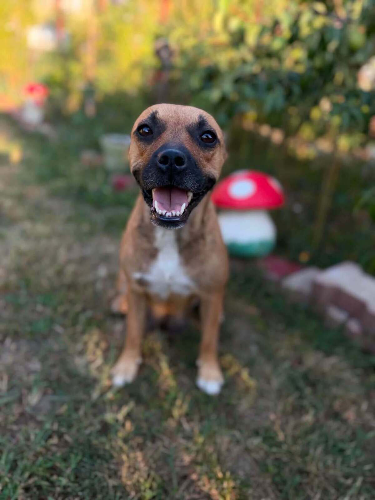Adoption Madeleine