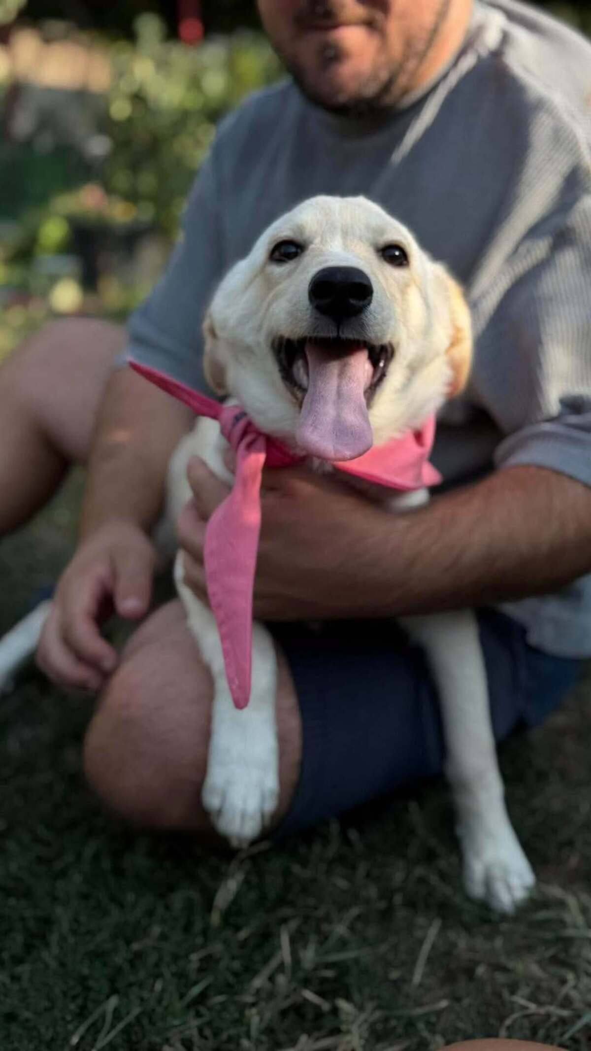 Adoption Isidore