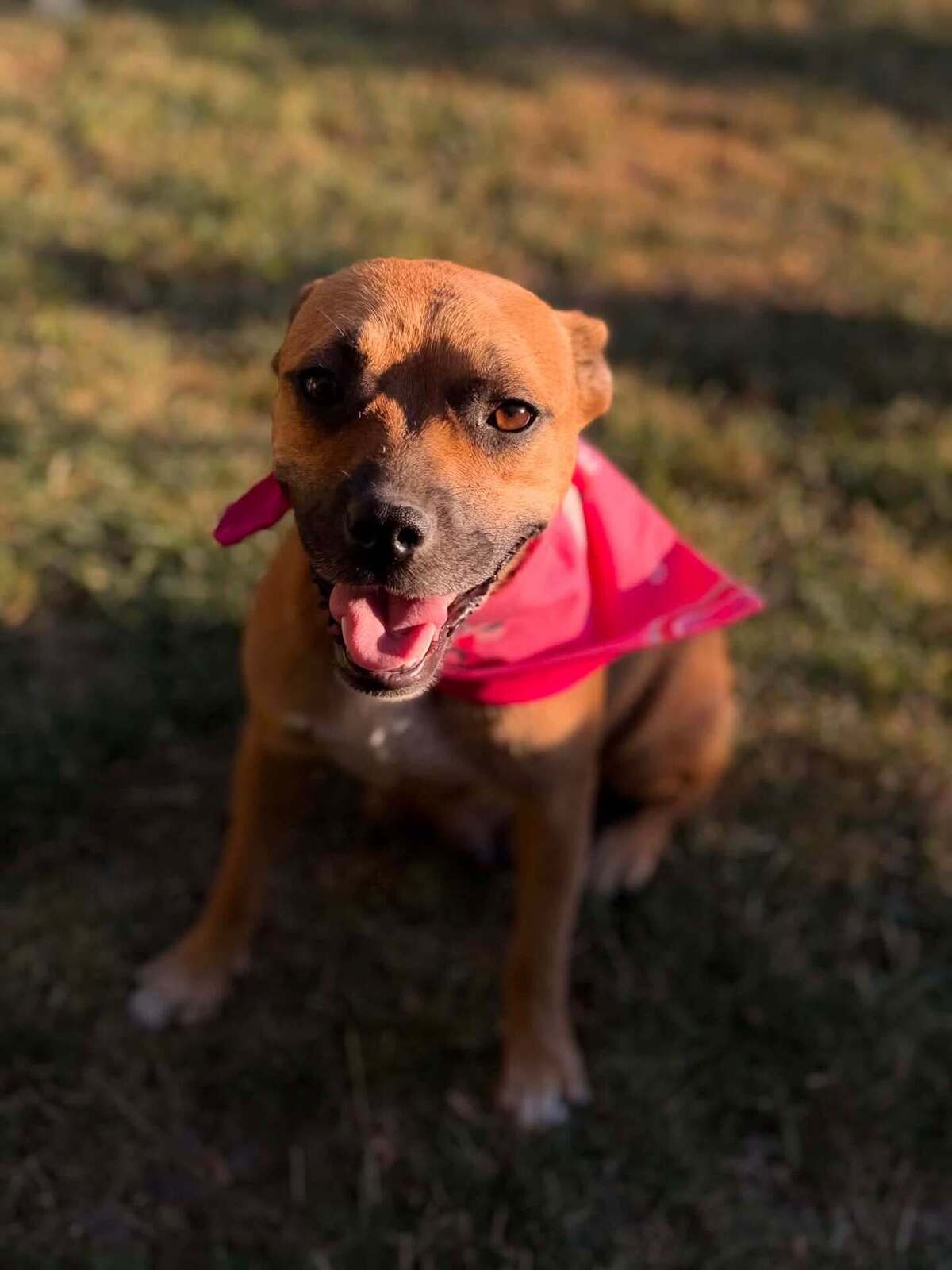 Adoption Madeleine