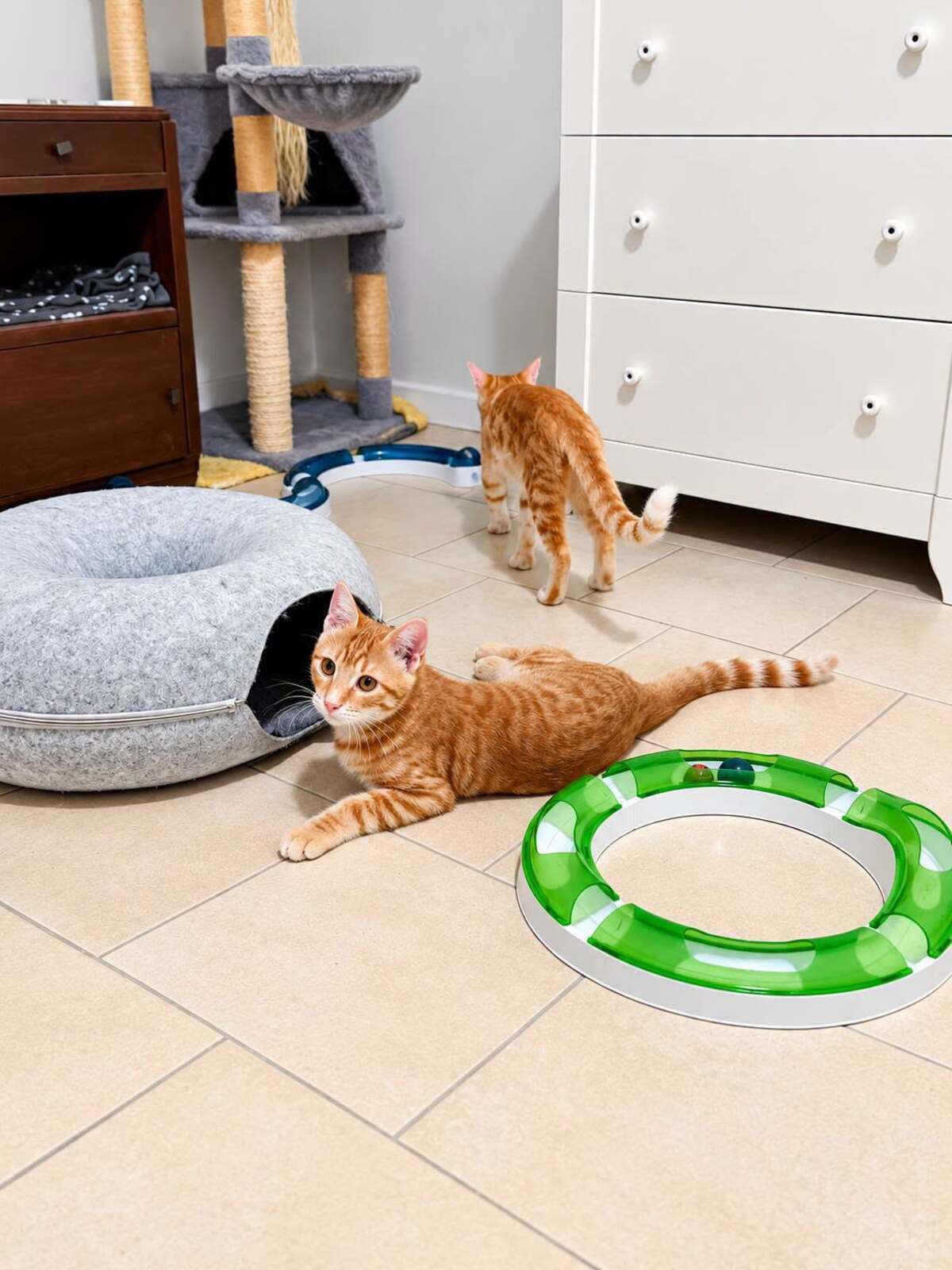 Adoption Theodore et Archibald