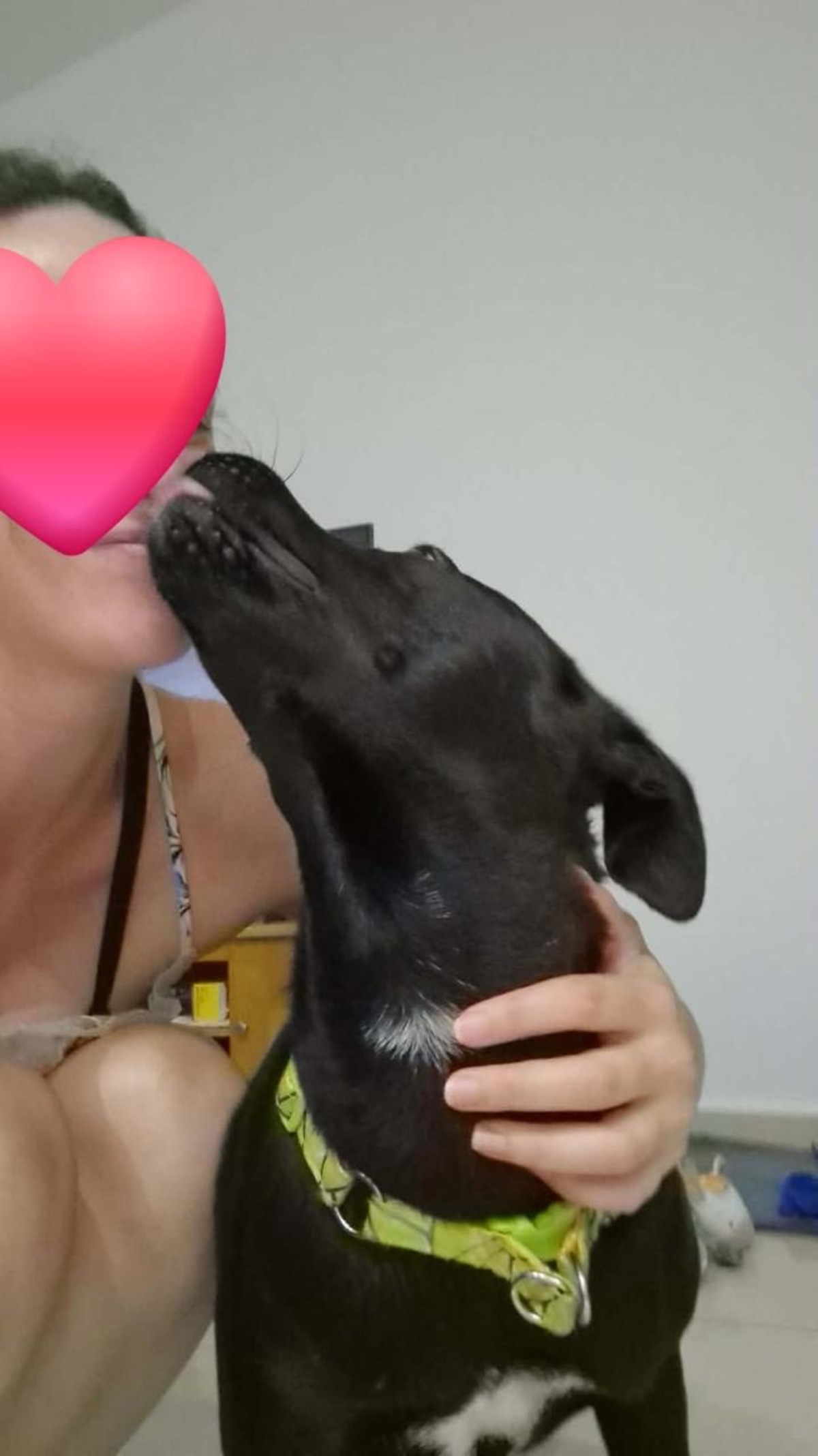 Adoption Kanel