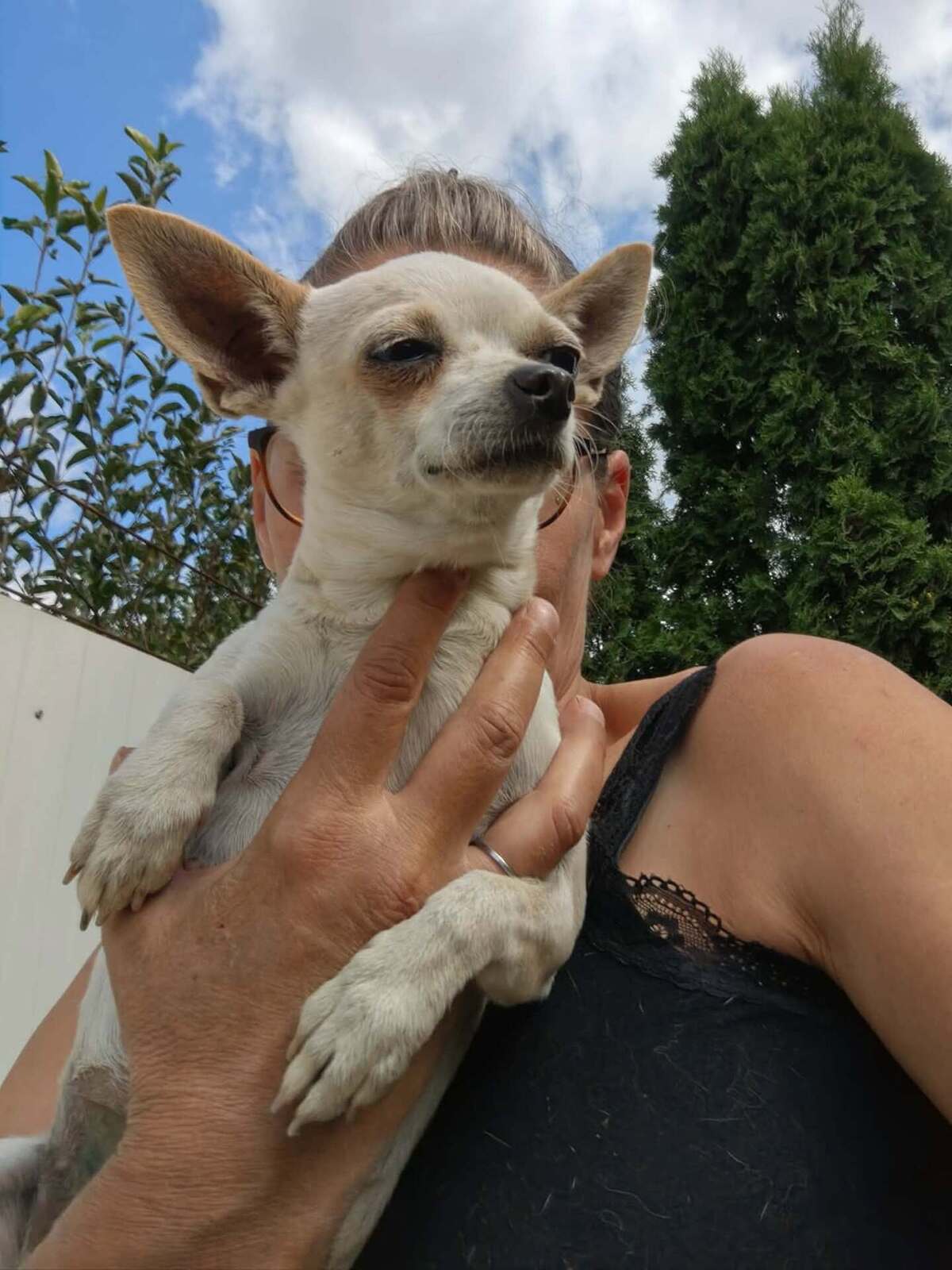 Adoption Lolita