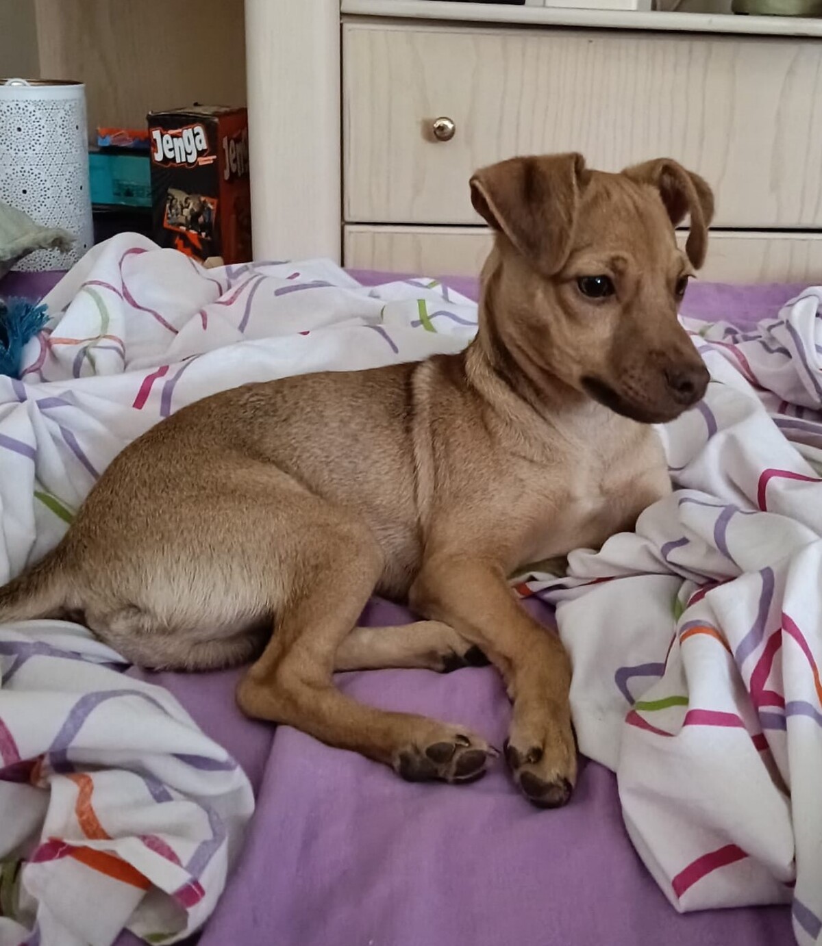Adoption Lenon
