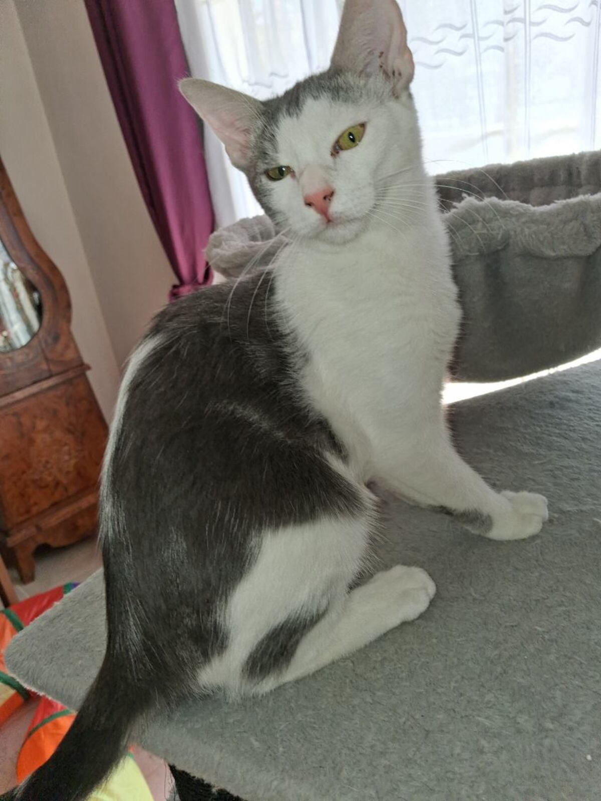 Adoption Madie