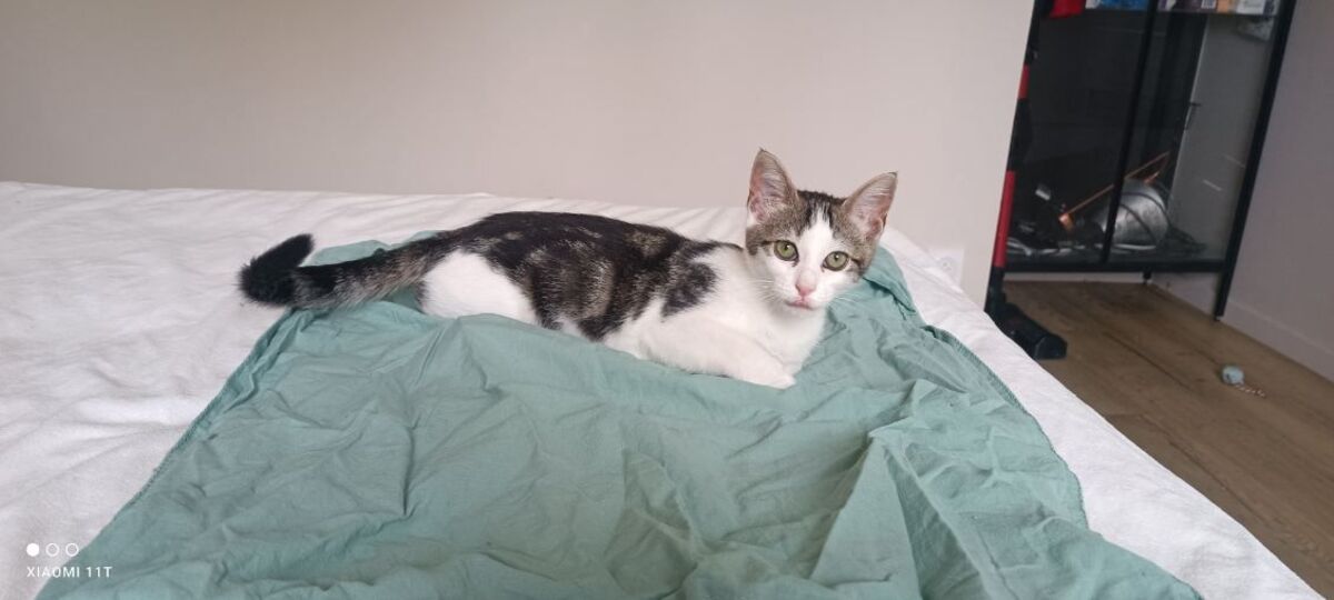 Adoption Béni