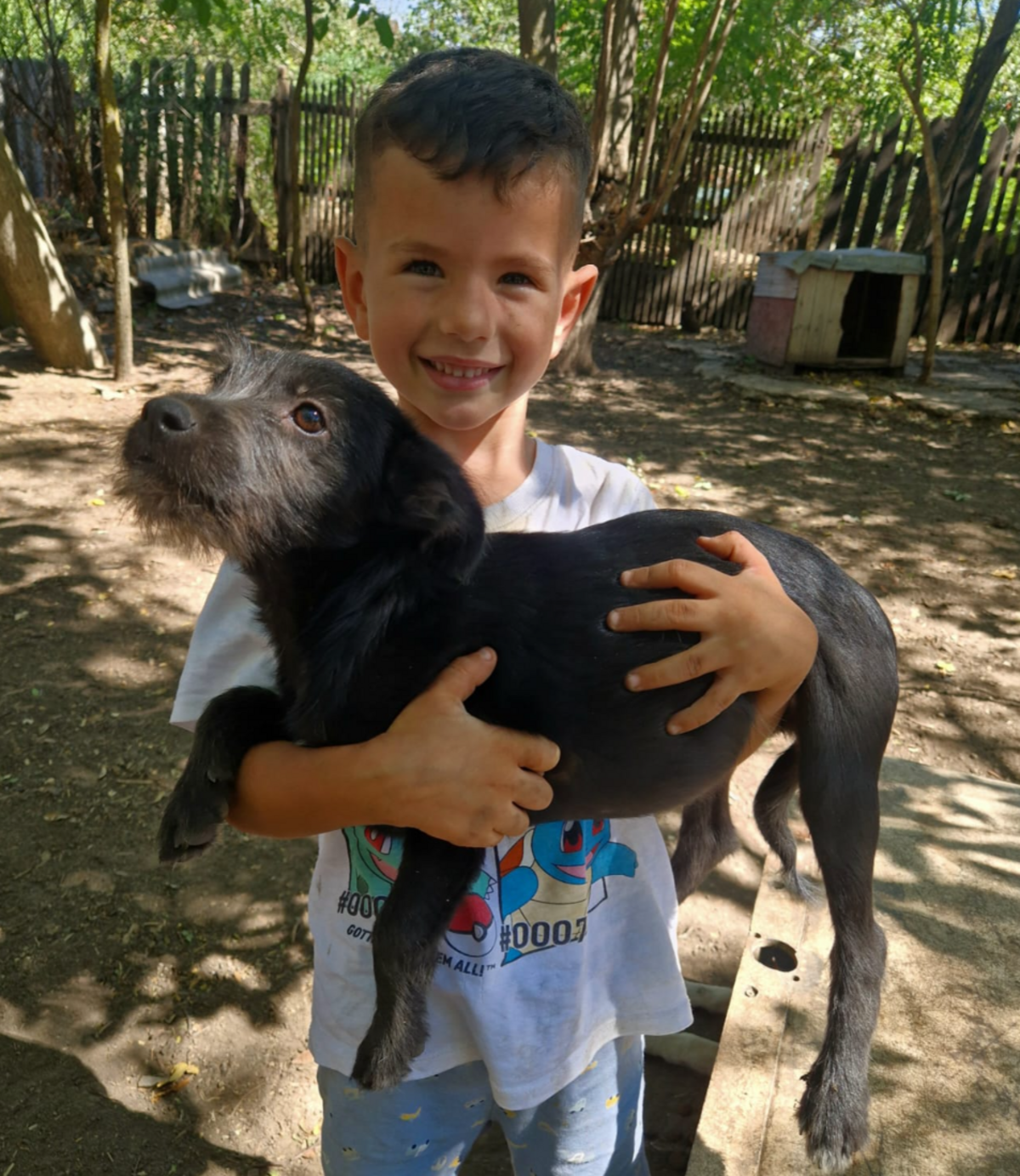 Adoption Lisho
