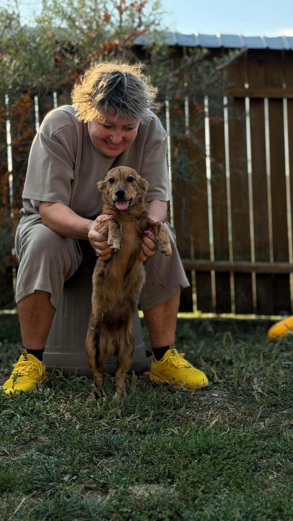 Adoption Ramm