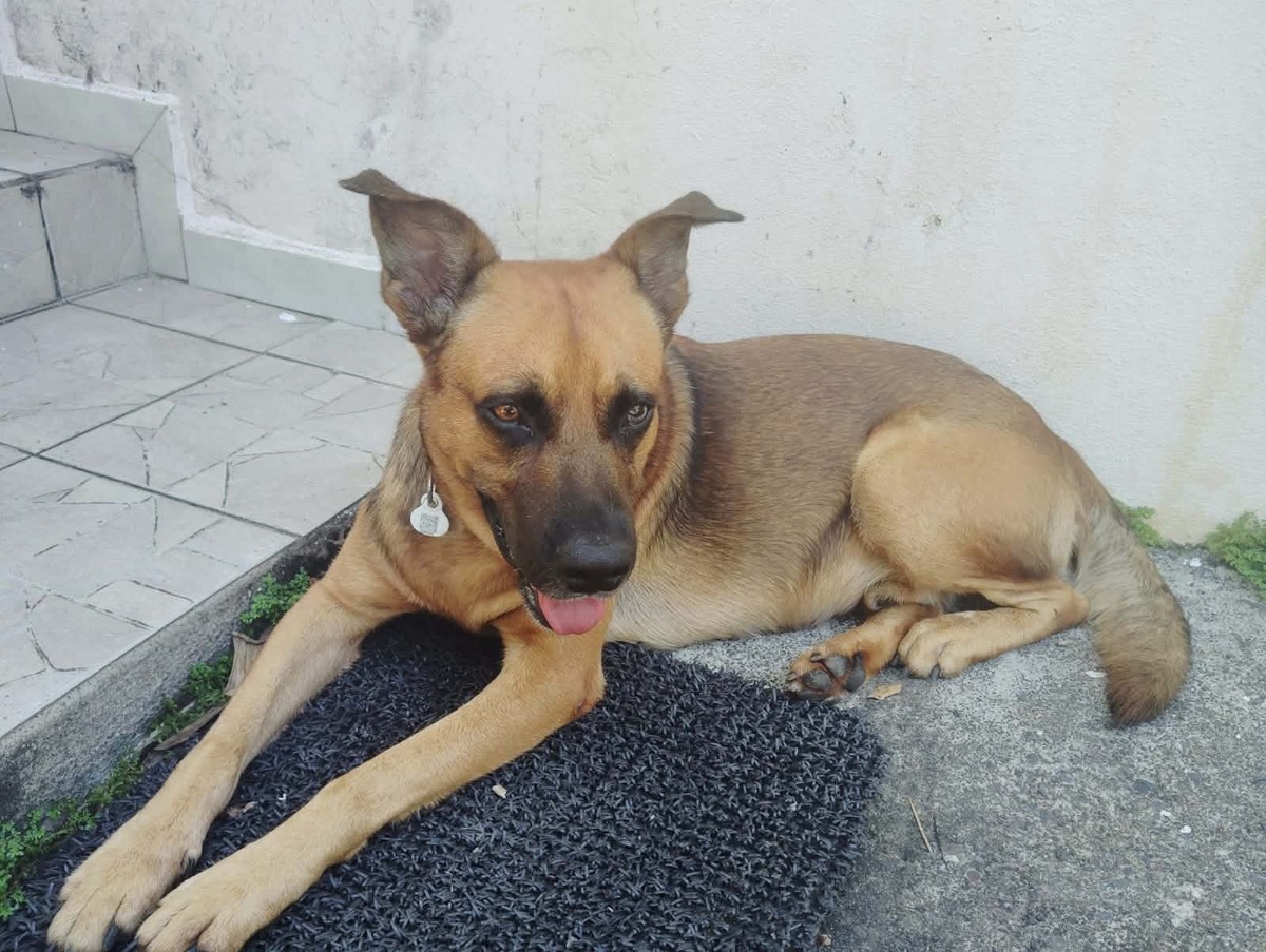 Adoption Karamelo