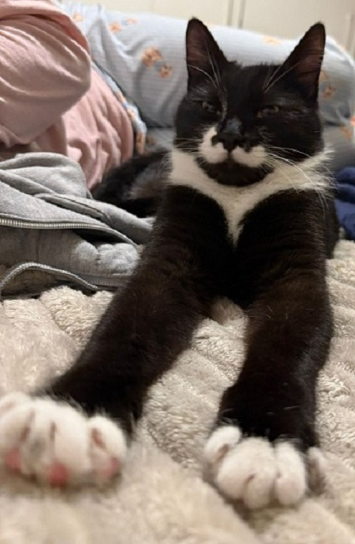 Adoption Pepper