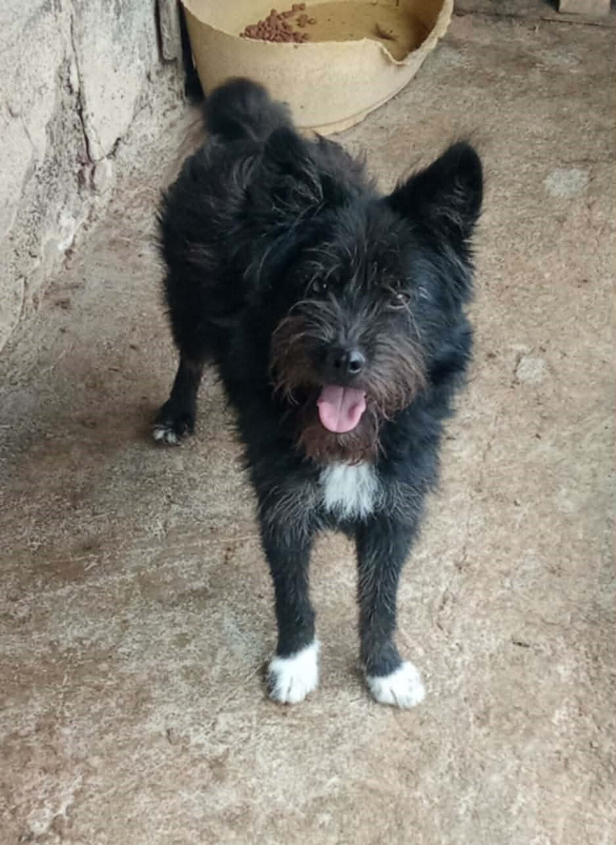 Adoption Rita