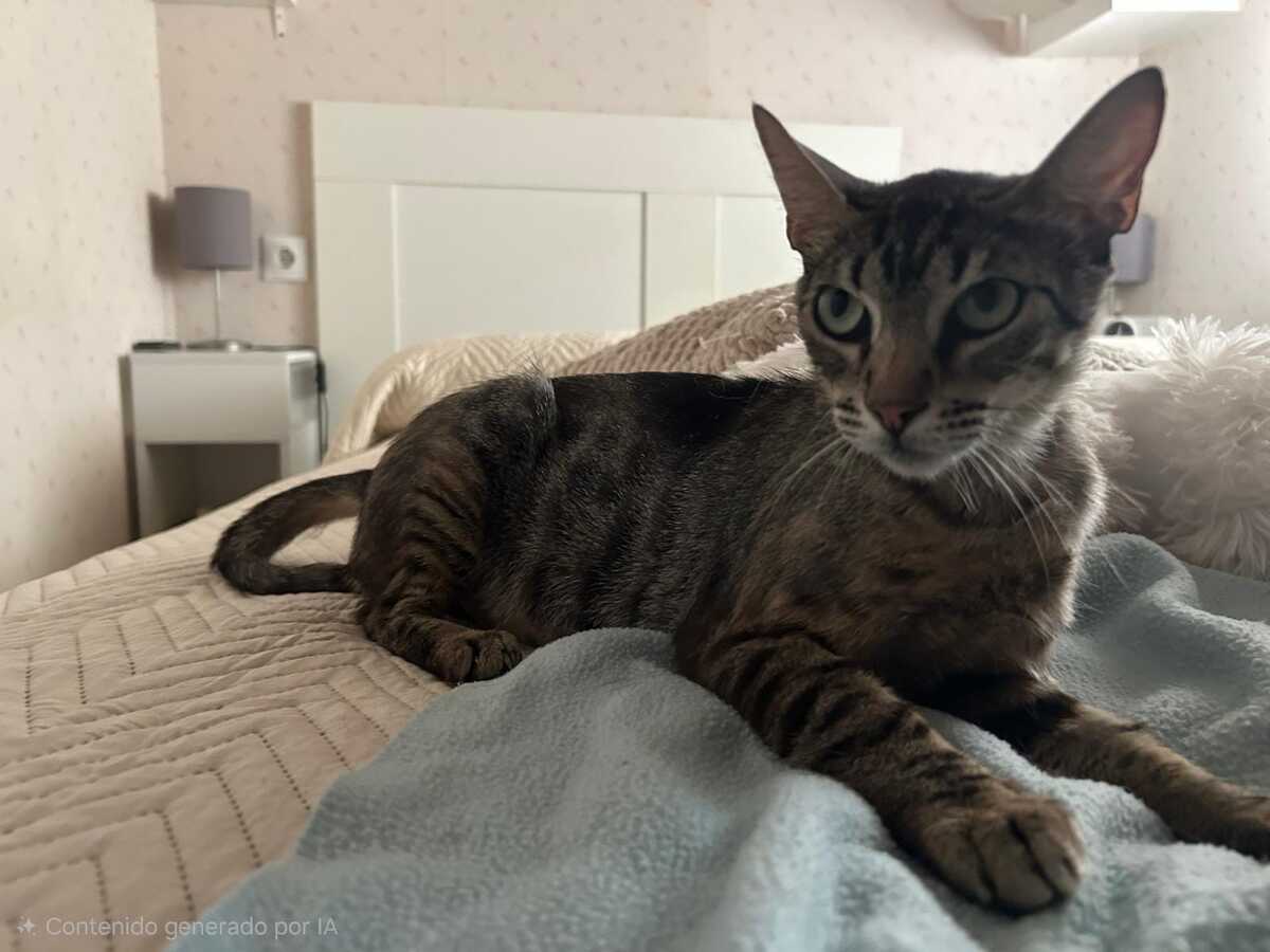Adoption PEGGY