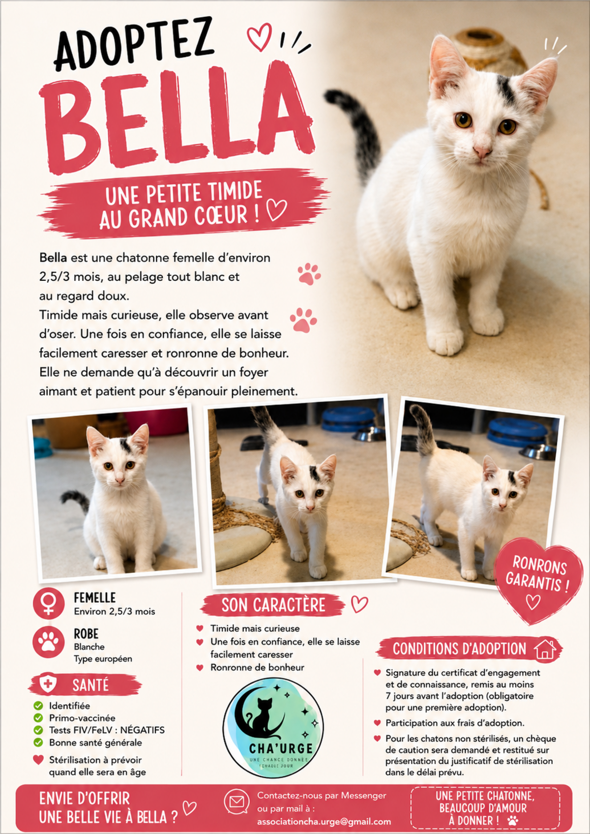 Adoption Bella