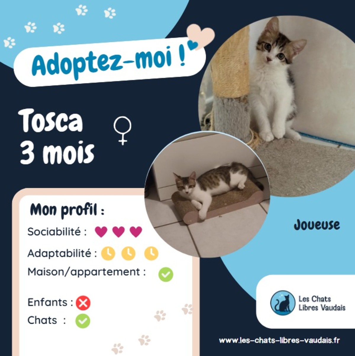 Adoption Tosca