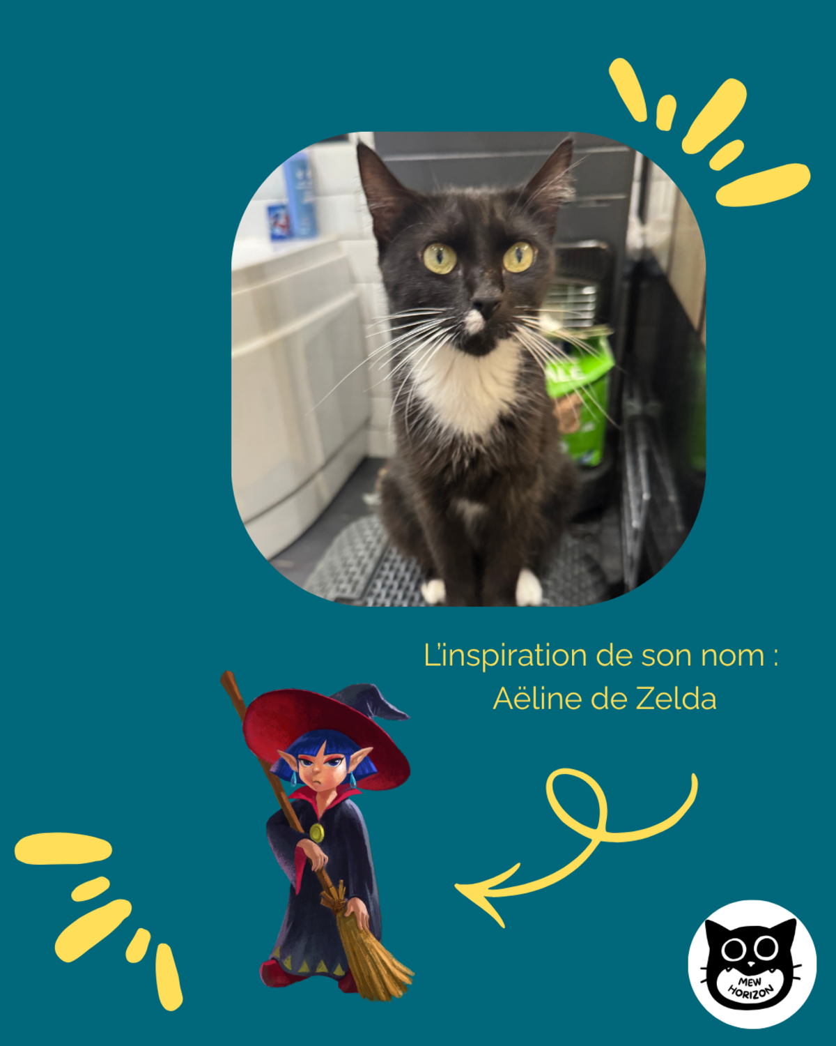 Adoption Aëline