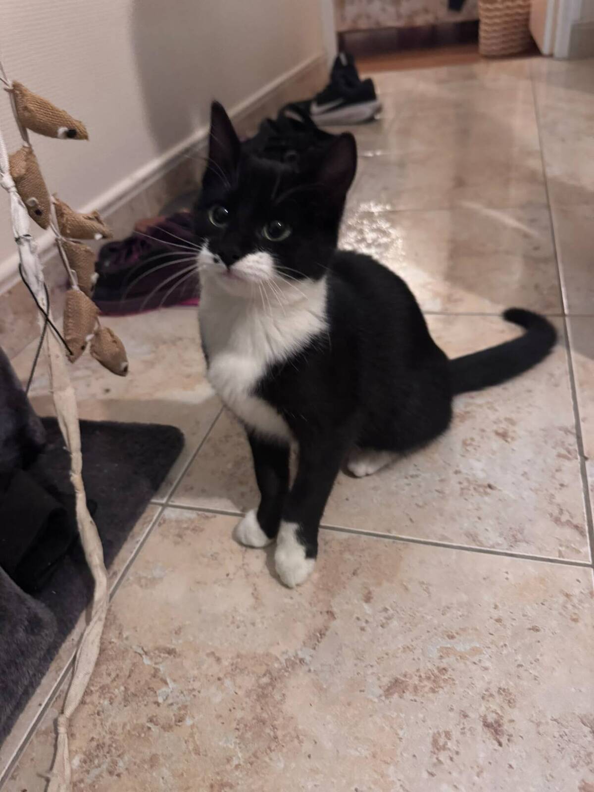 Adoption Becky