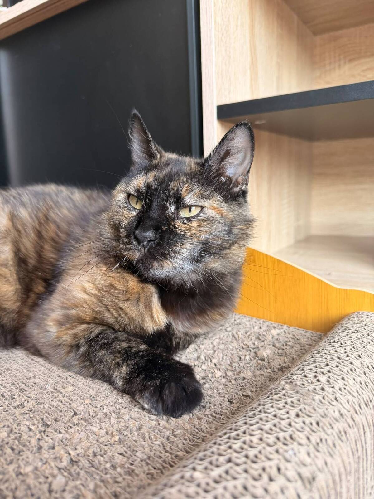 Adoption Hope