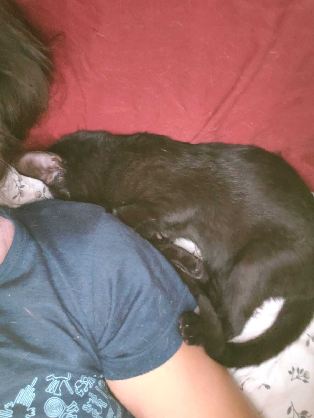 Adoption Nami