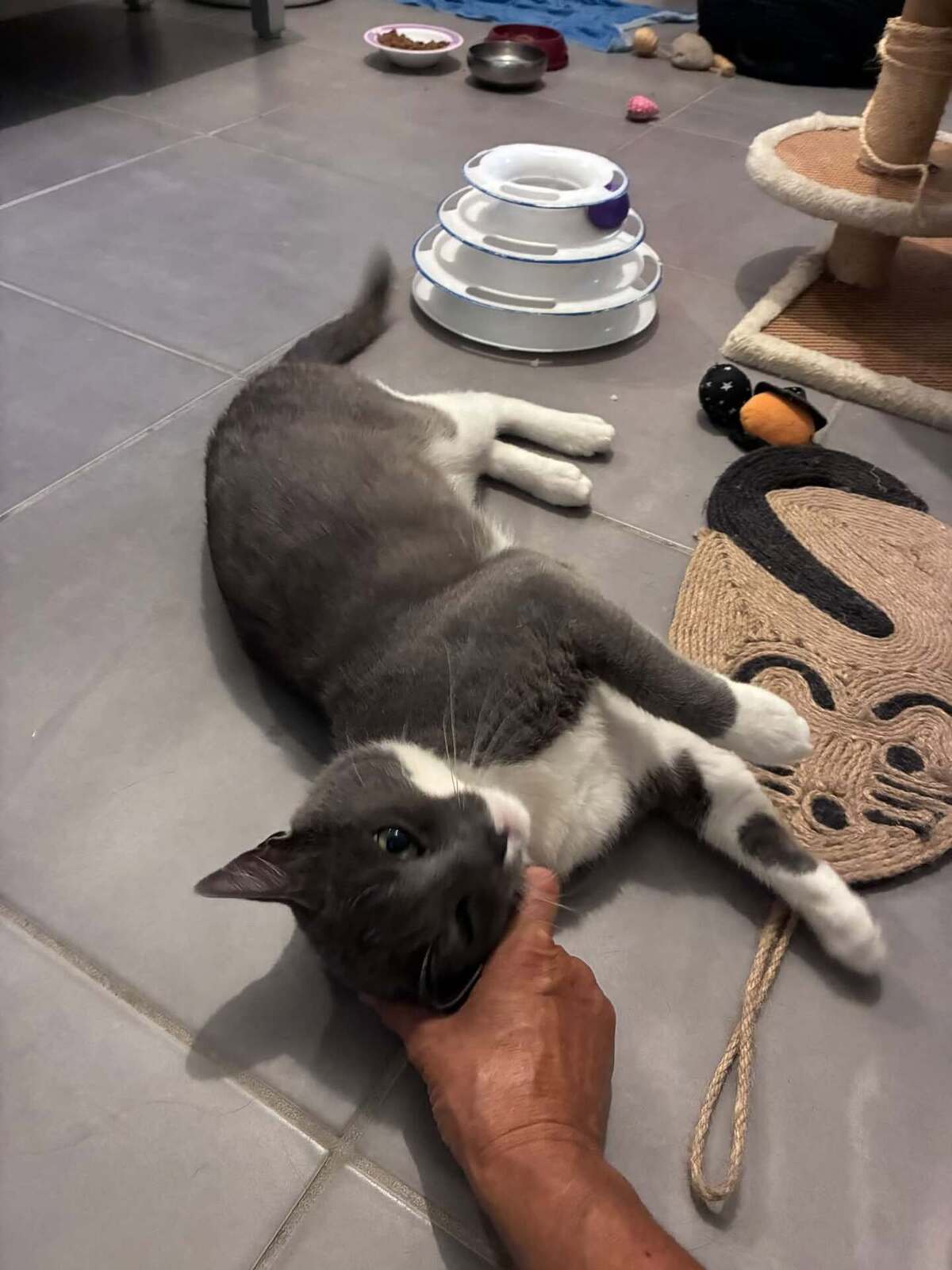 Adoption Doumé