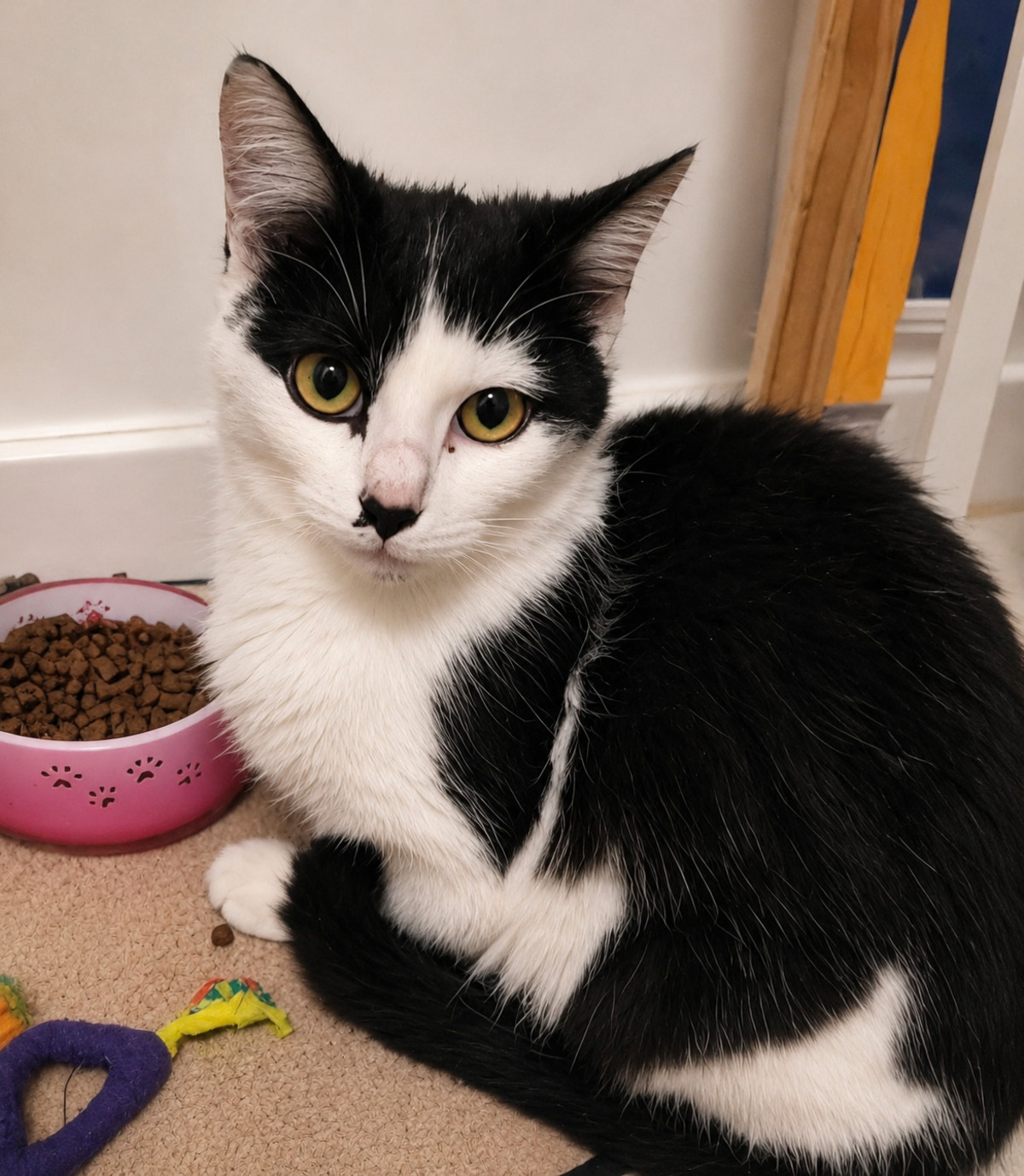 Adoption Moka