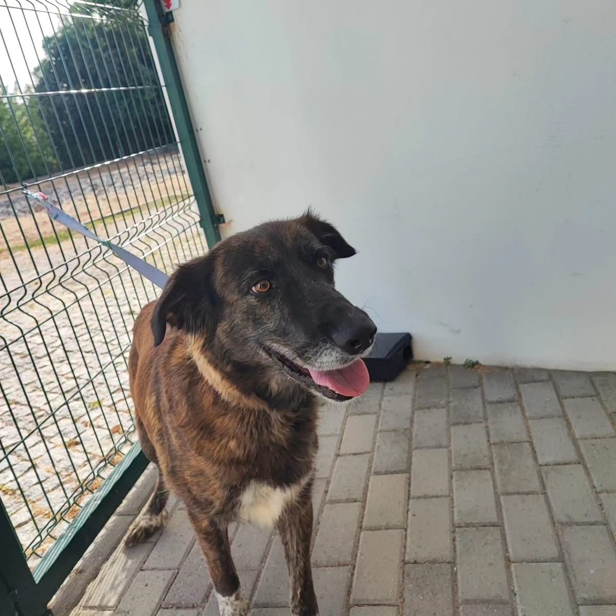 Adoption Vilma
