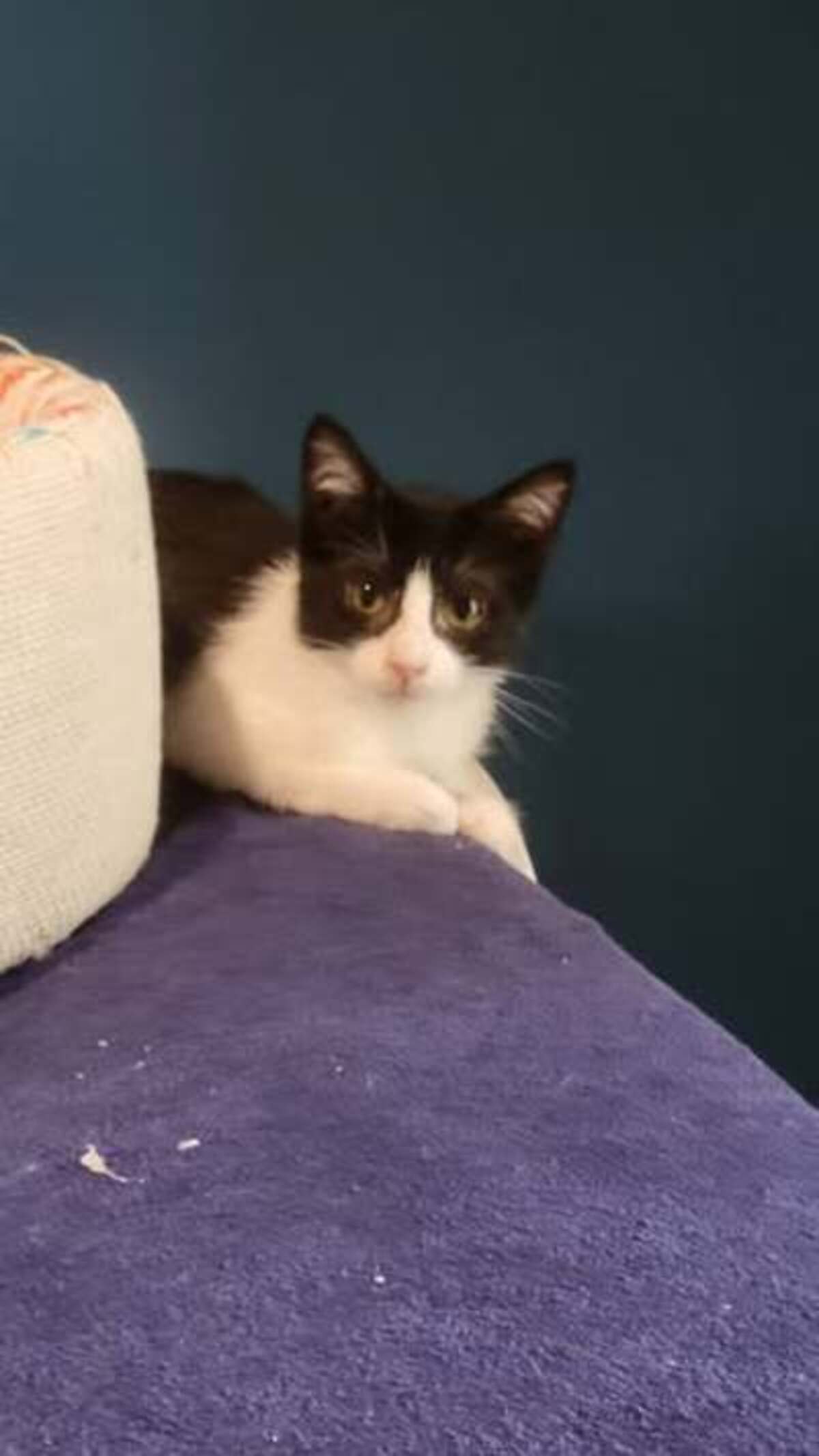 Adoption Belinda