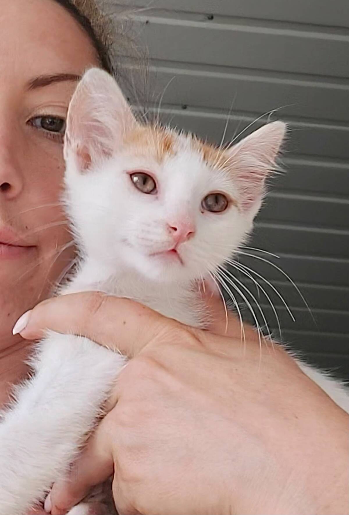 Adoption NINA
