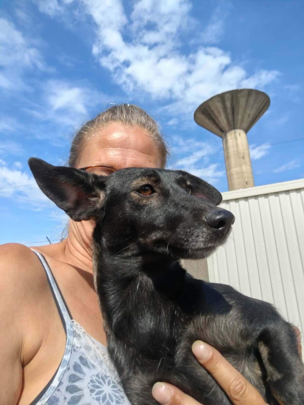 Adoption Melba