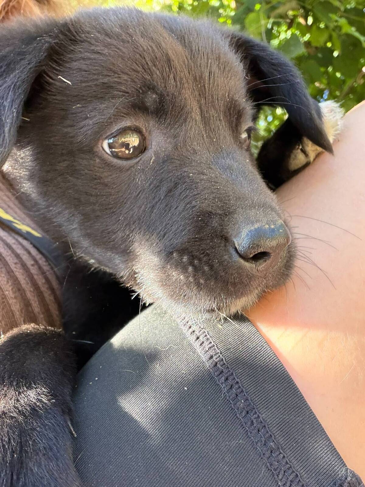 Adoption Maddy