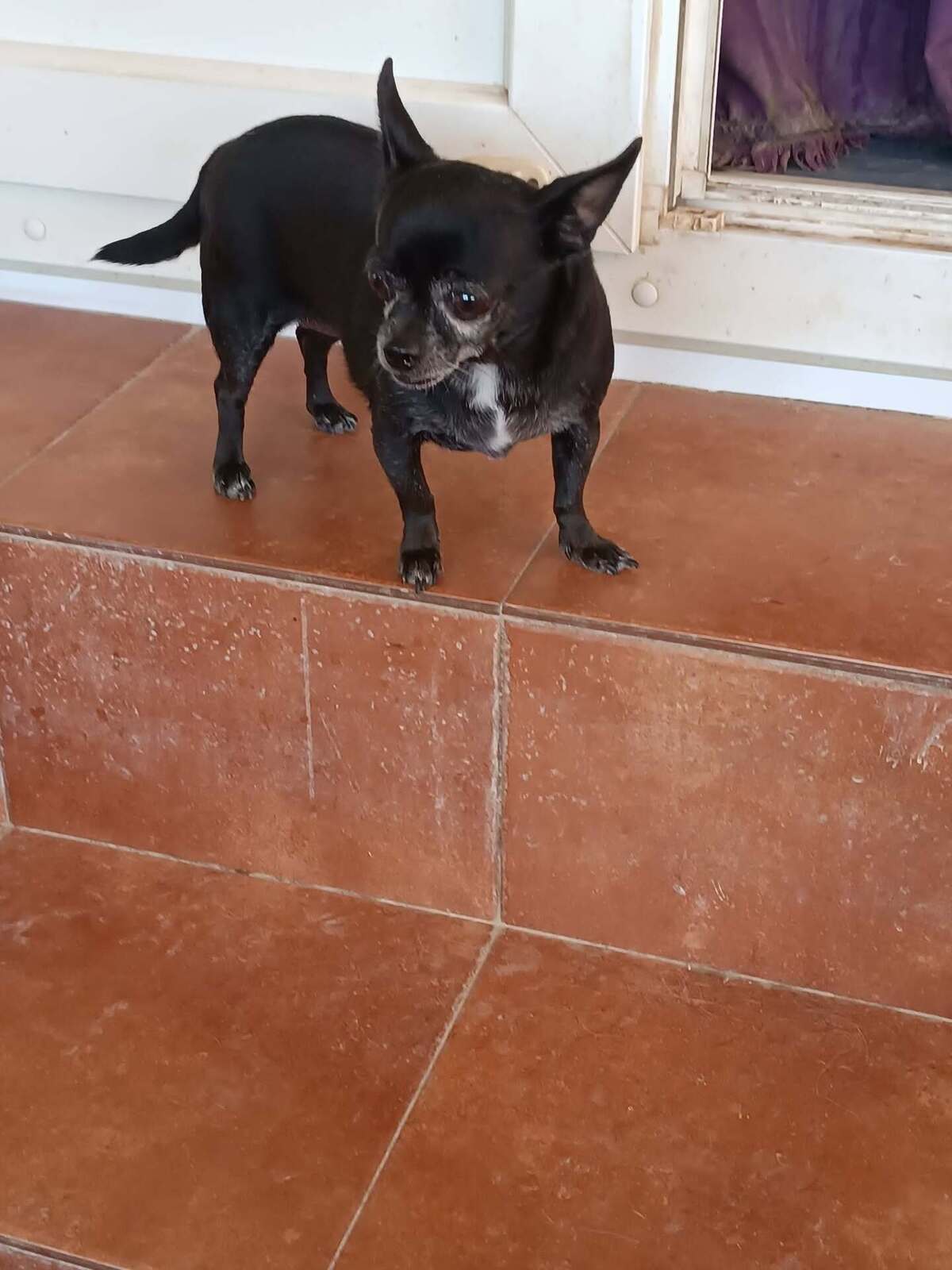 Adoption Valeria