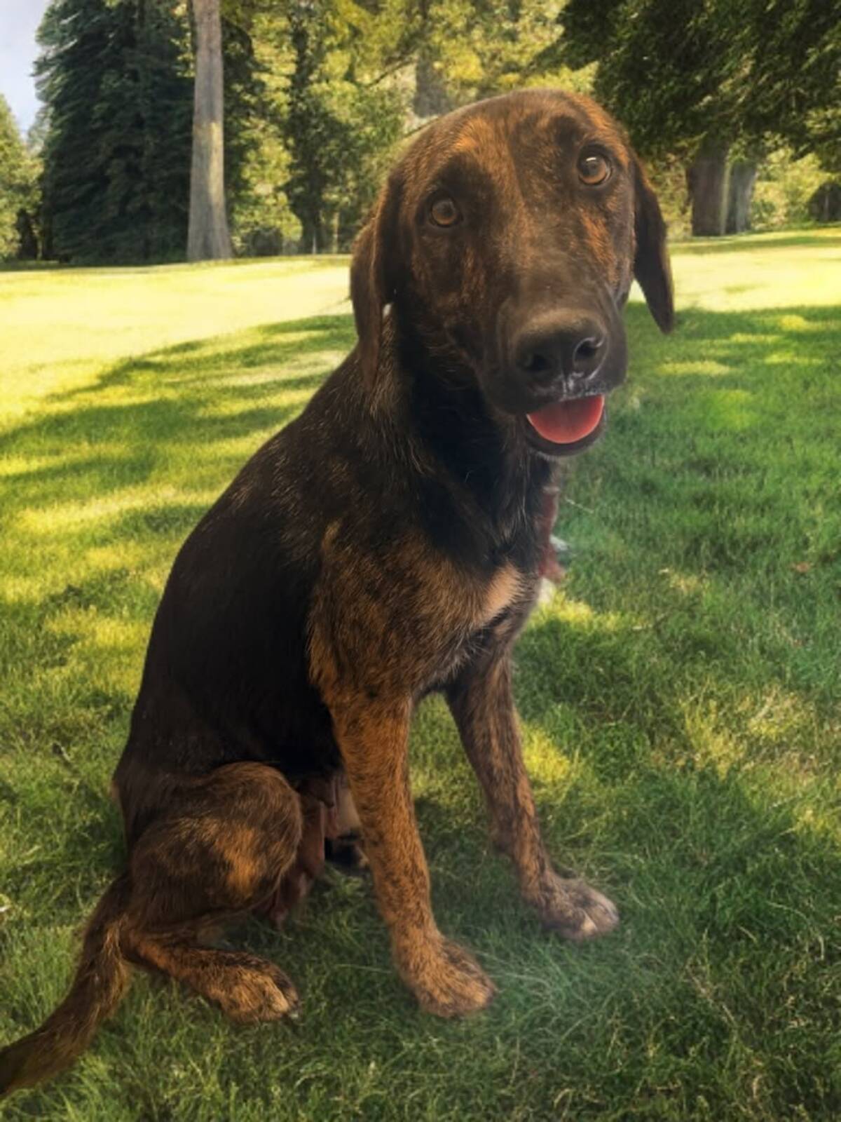 Adoption Shiva