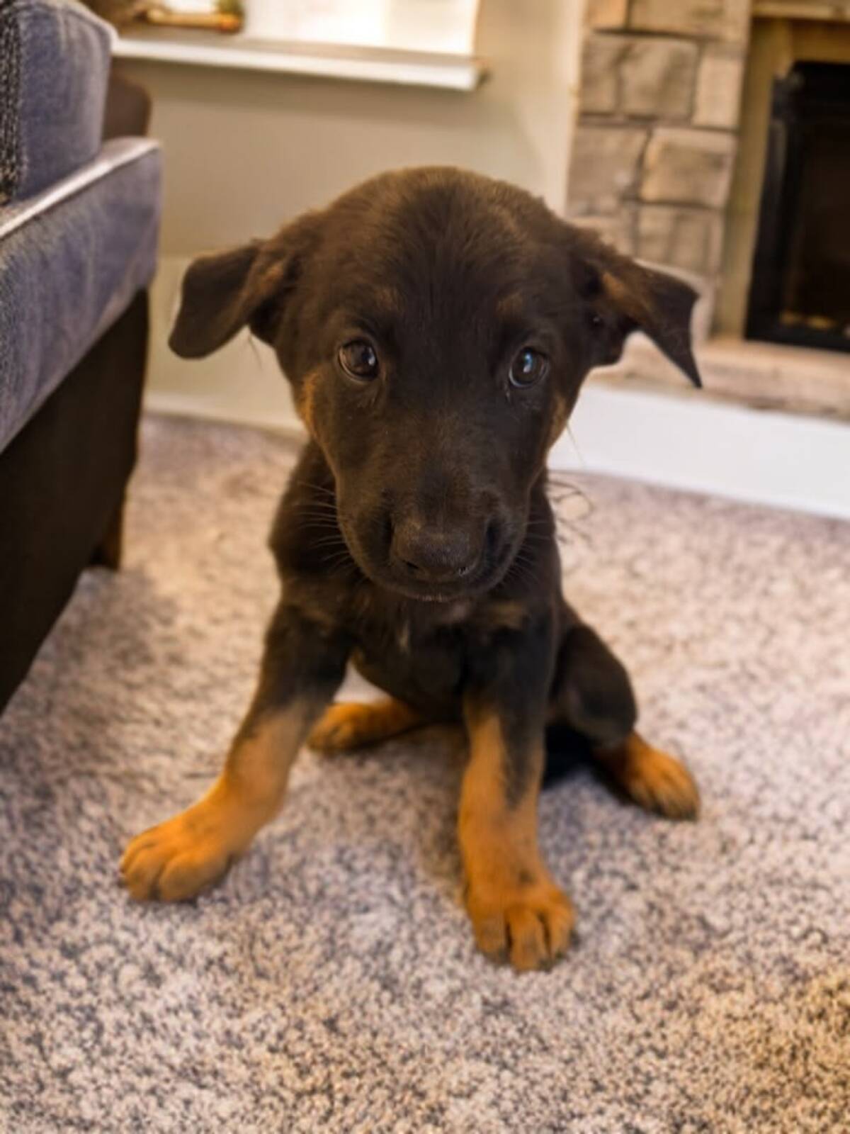 Adoption Malya