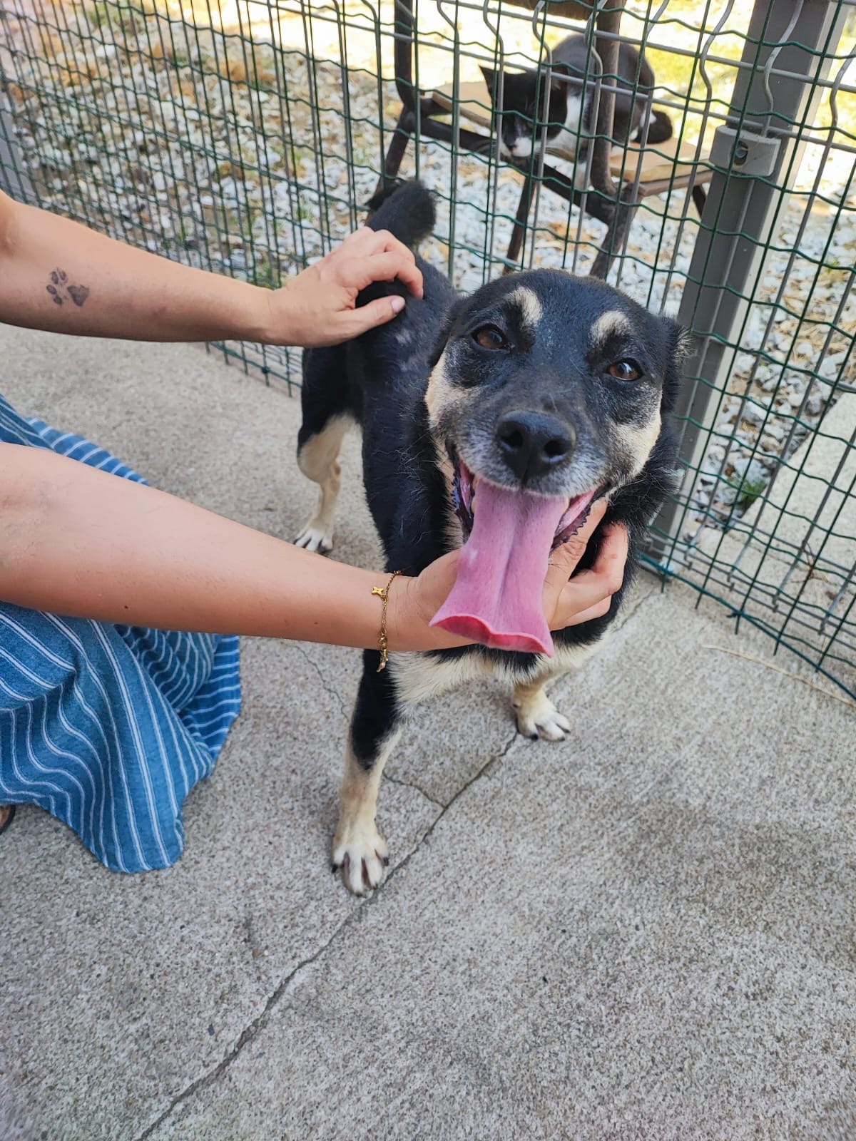 Adoption Princesse
