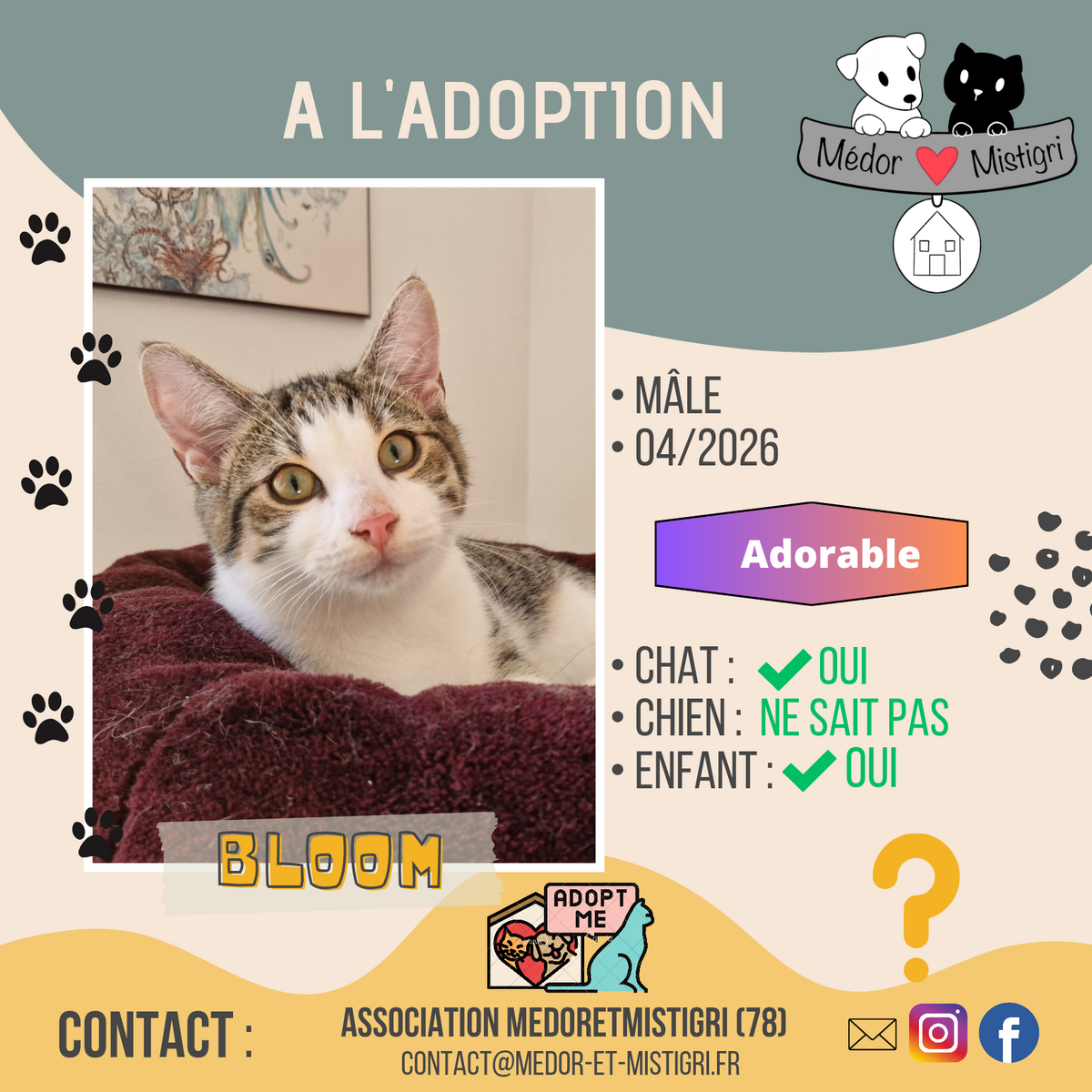 Adoption Bloom 