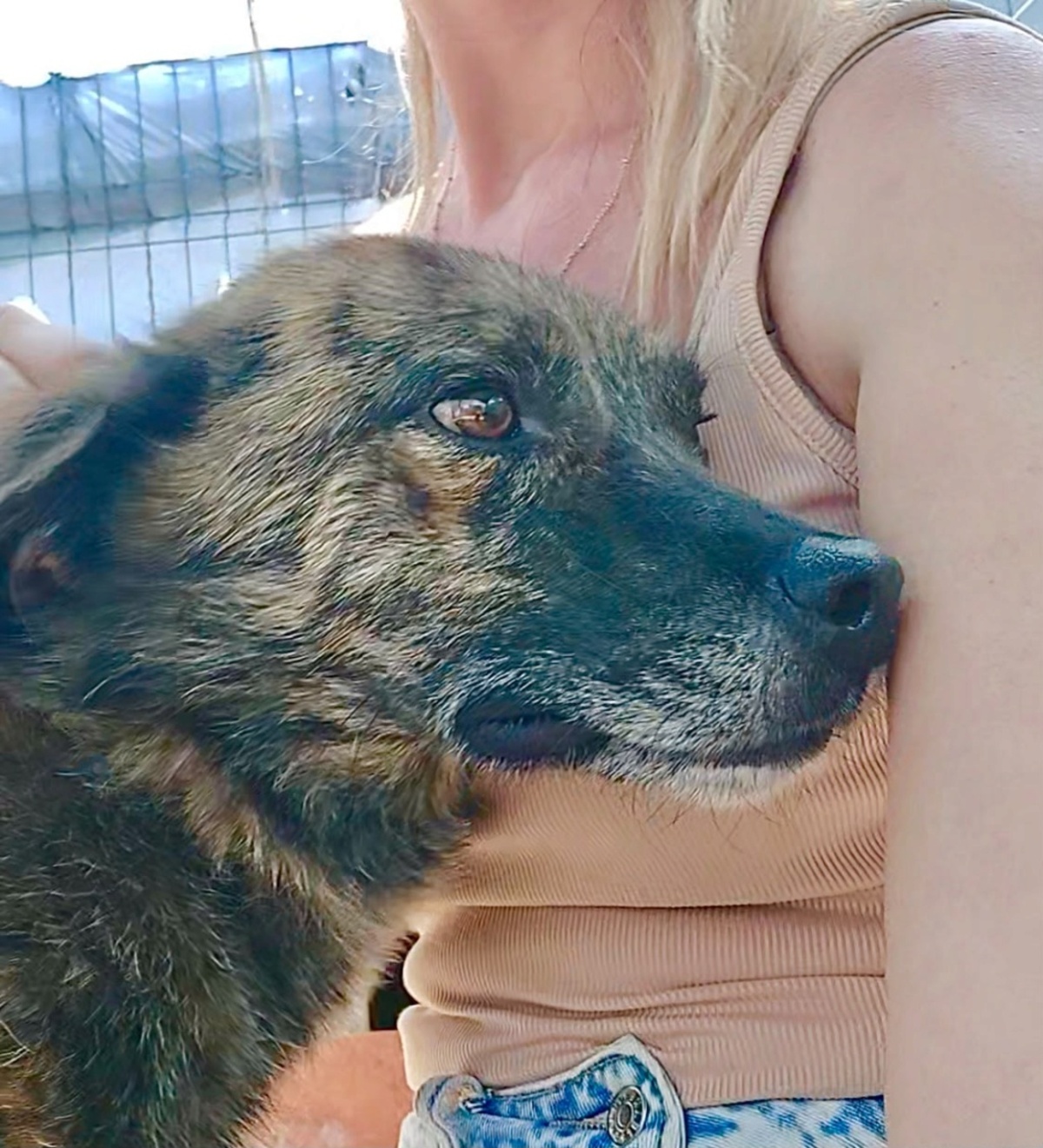 Adoption Flavio