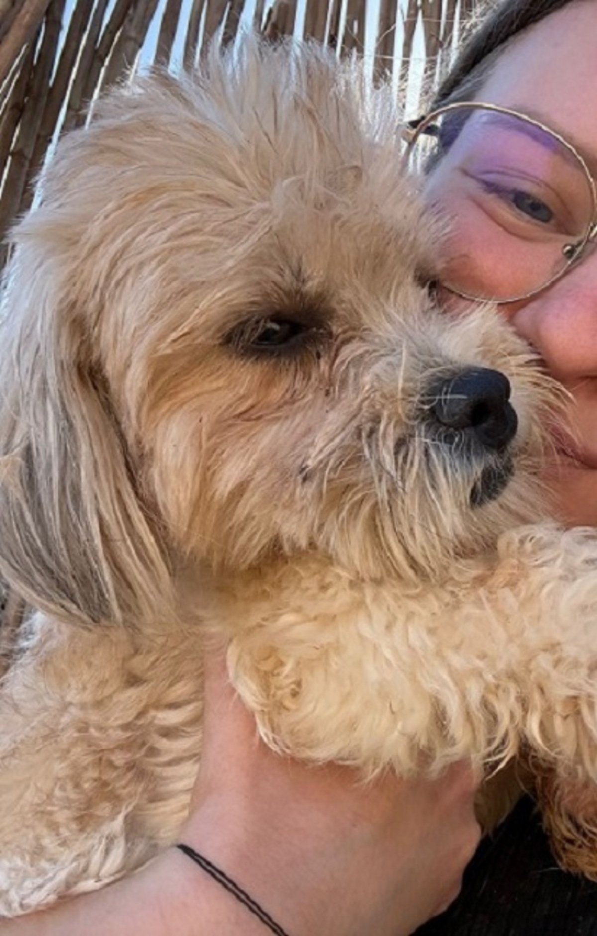 Adoption Juno