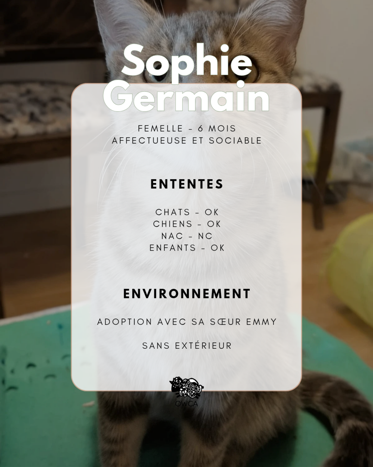 Adoption Sophie-Germain