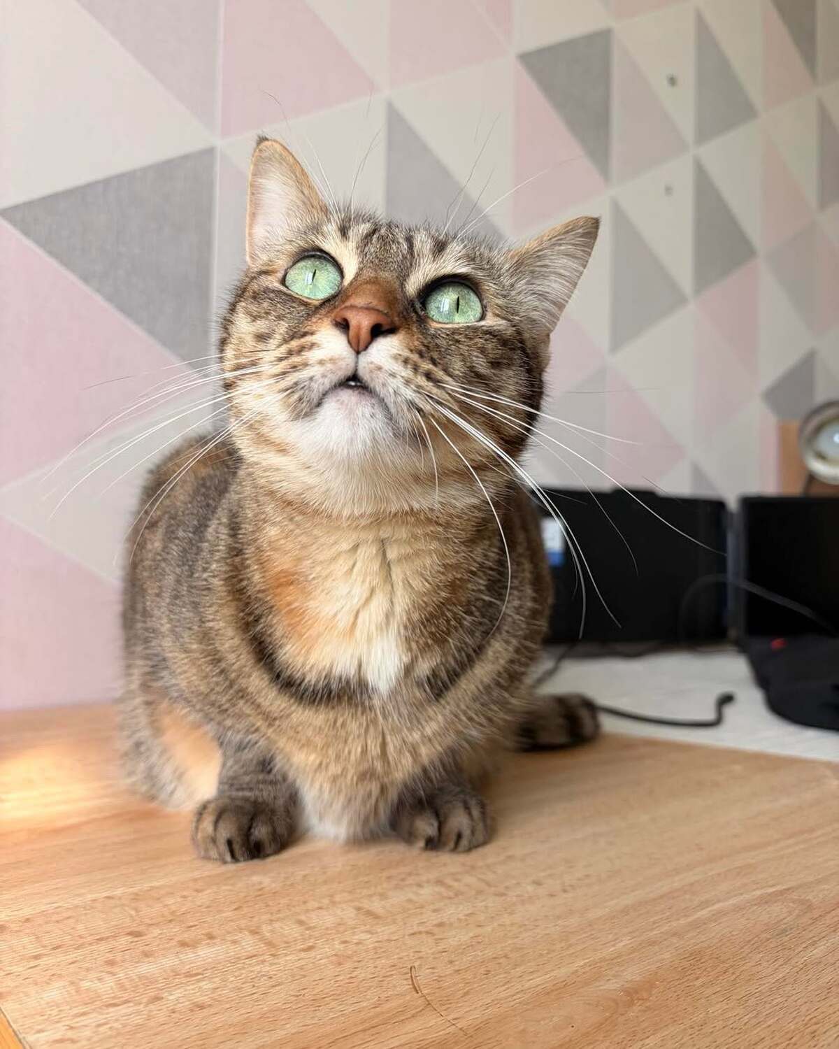 Adoption Gisele