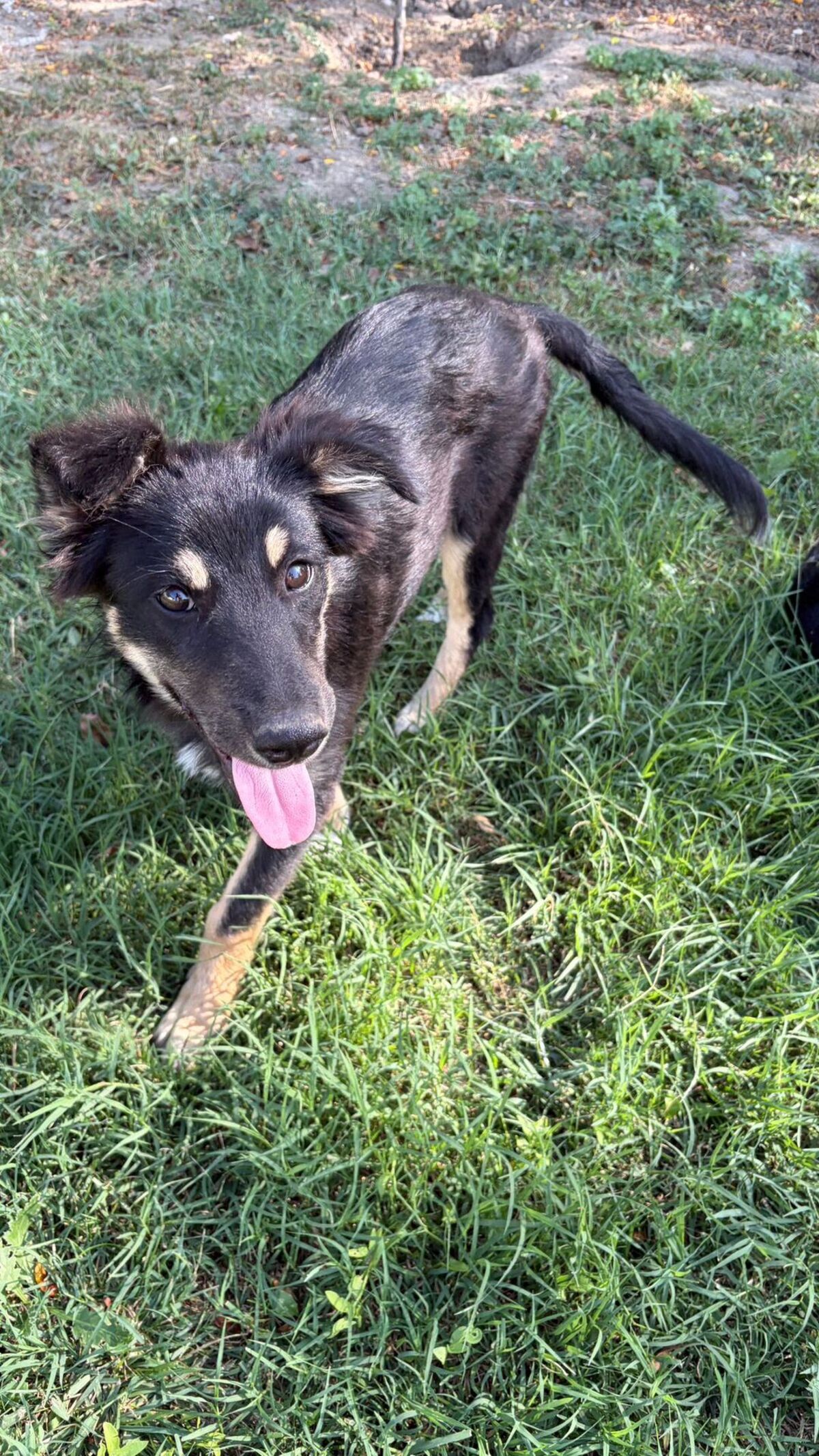 Adoption Lilly