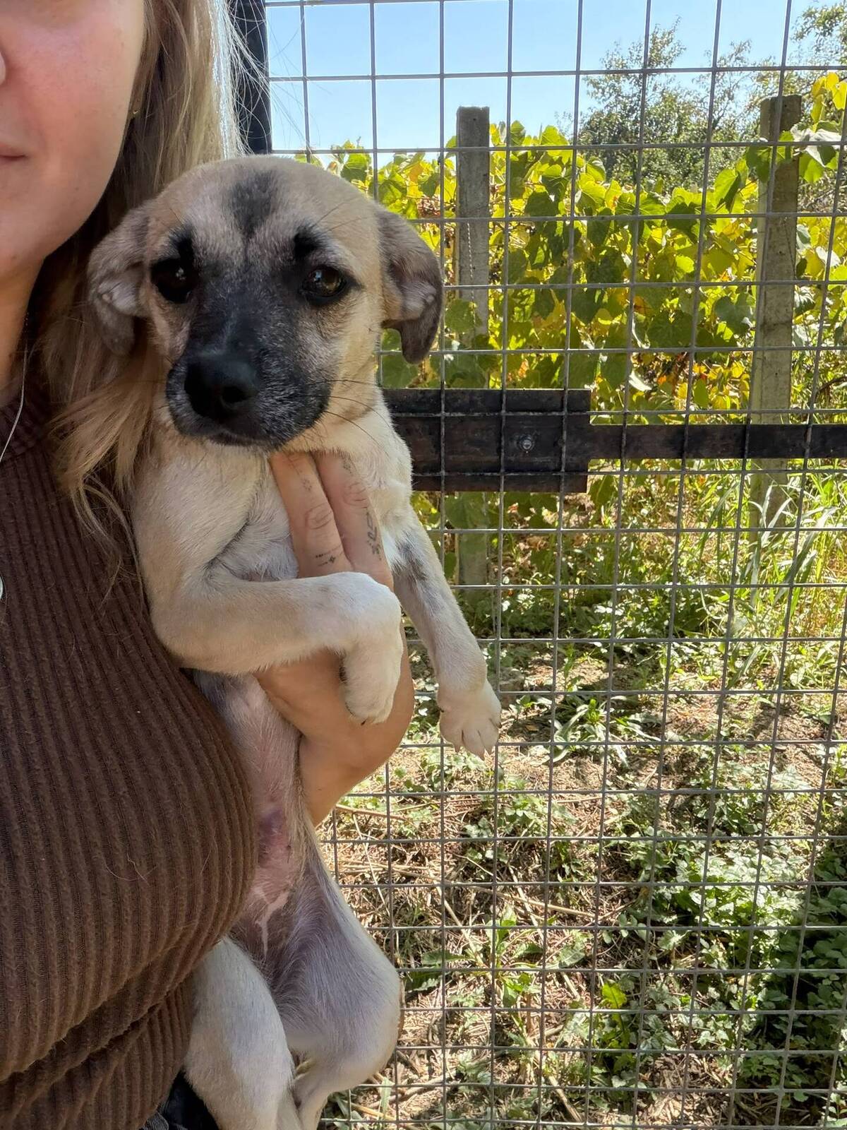 Adoption Gaïa