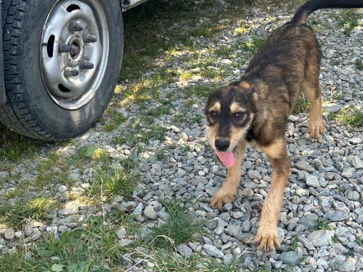 Adoption Marla