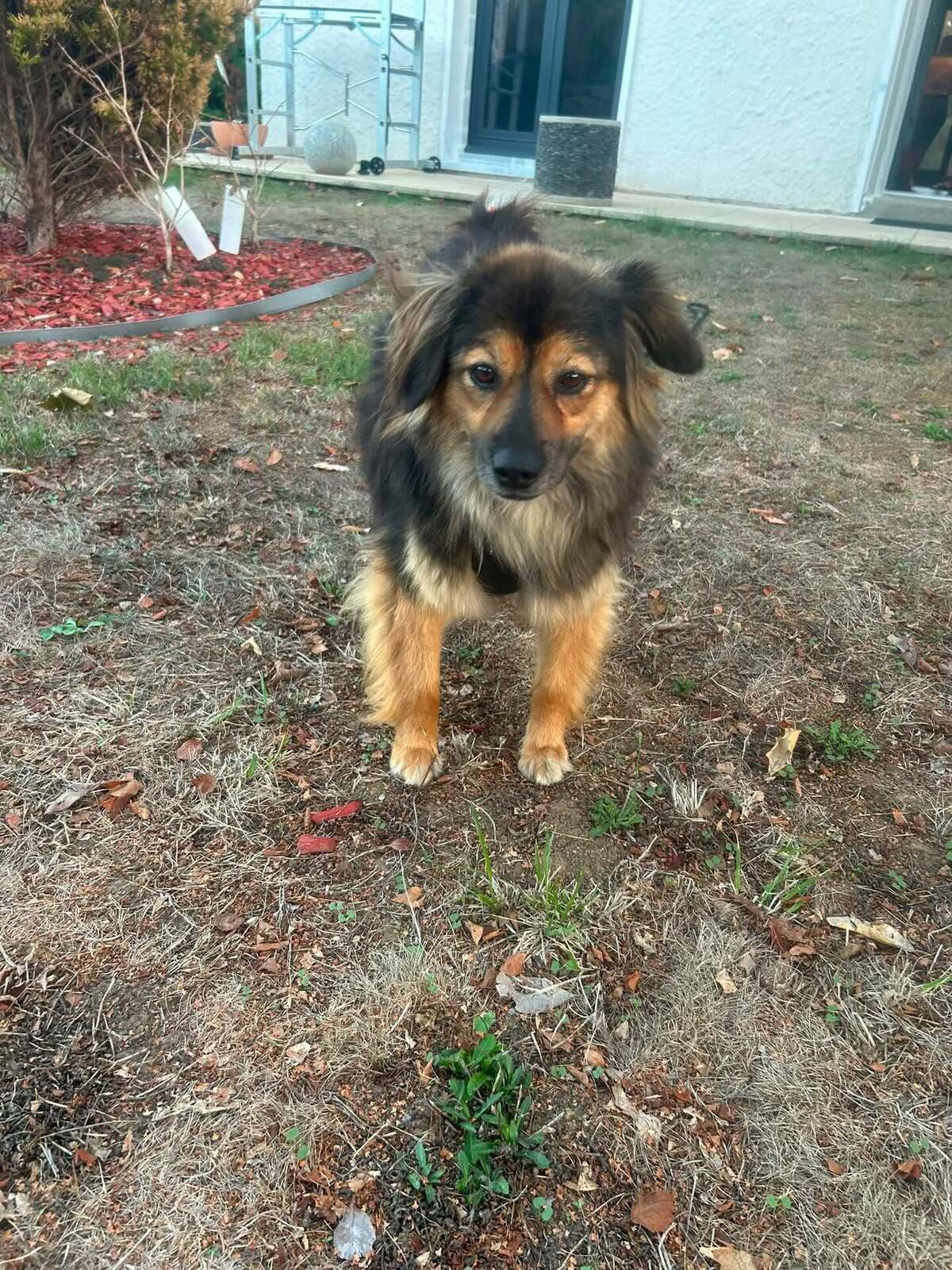 Adoption Carla