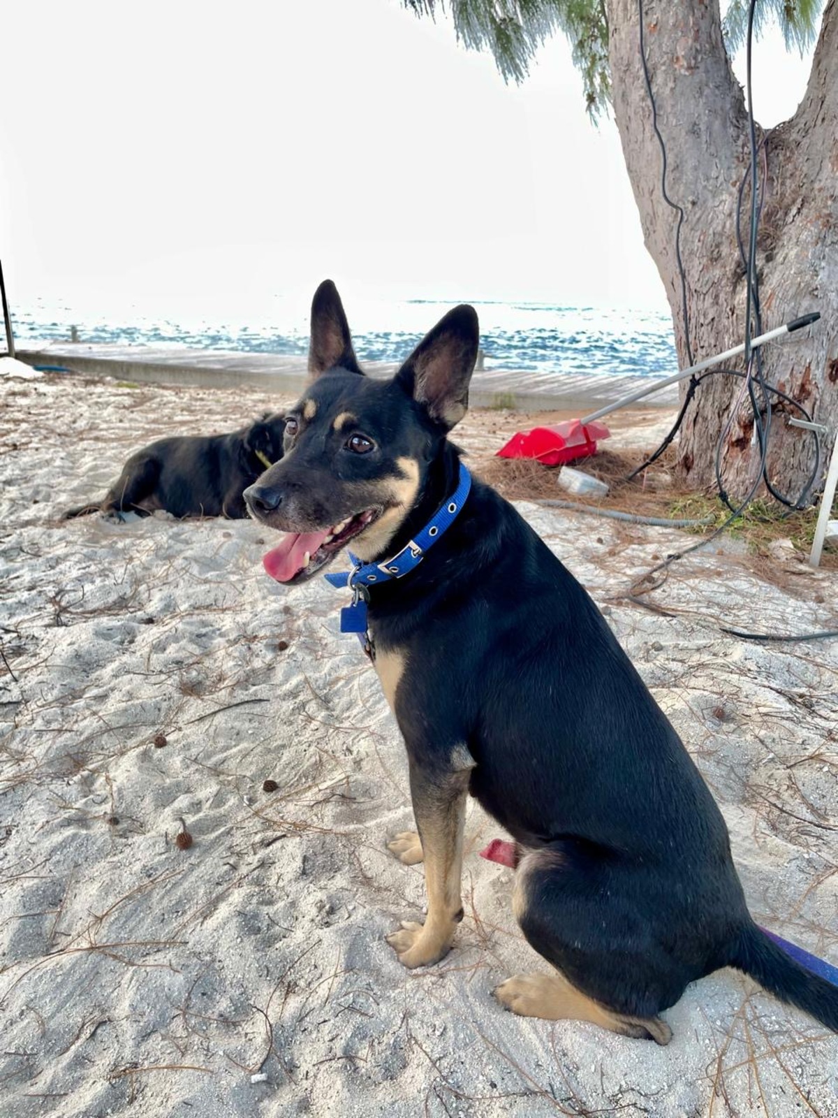 Adoption SIKI