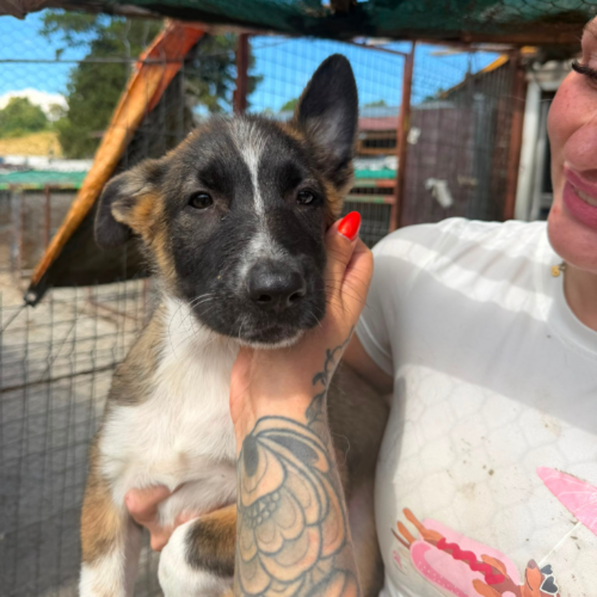 Adoption LEXIE