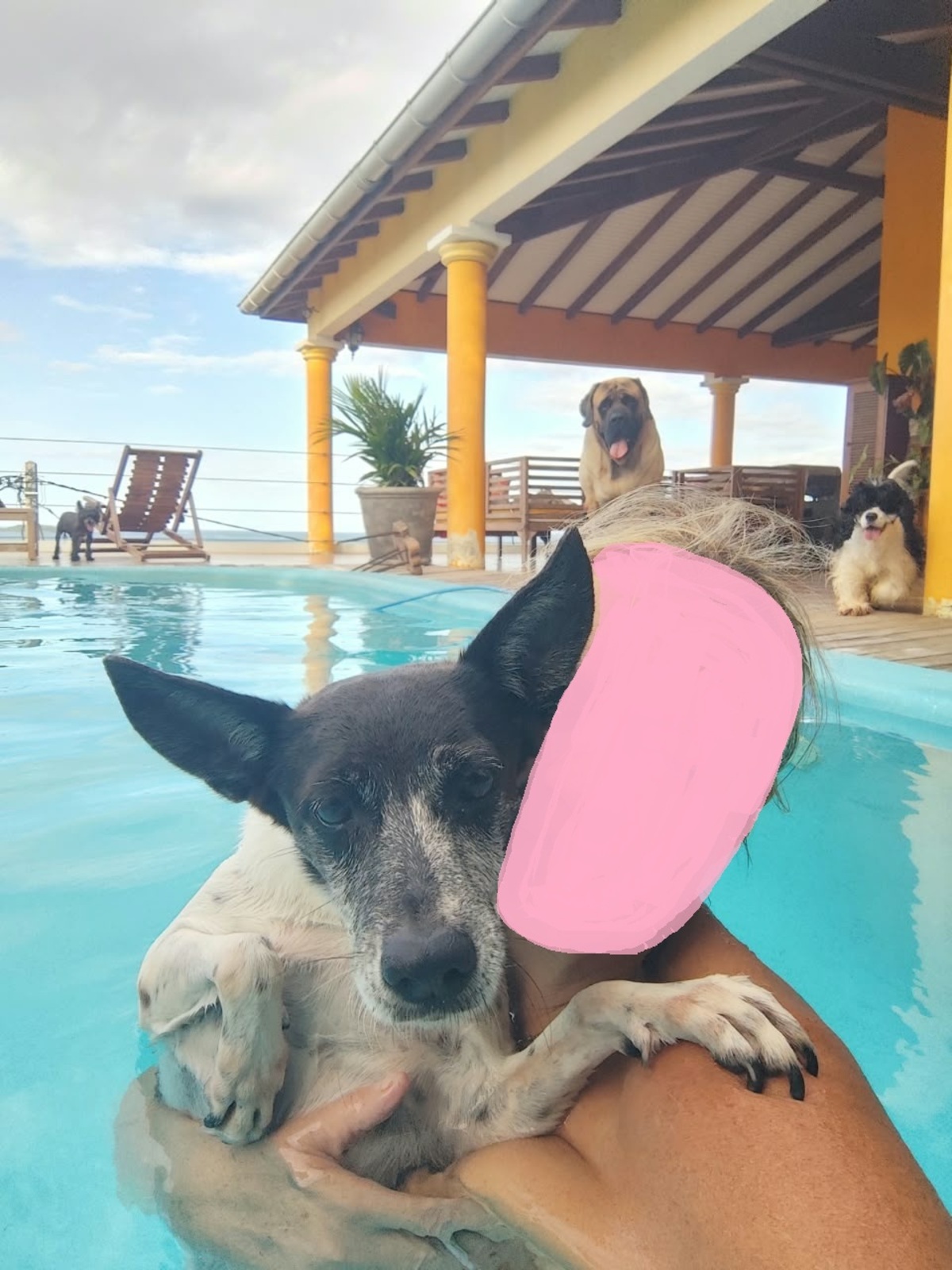 Adoption Paraffine