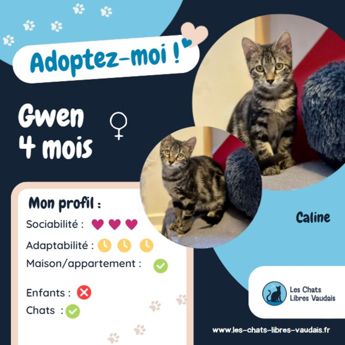 Adoption Gwen