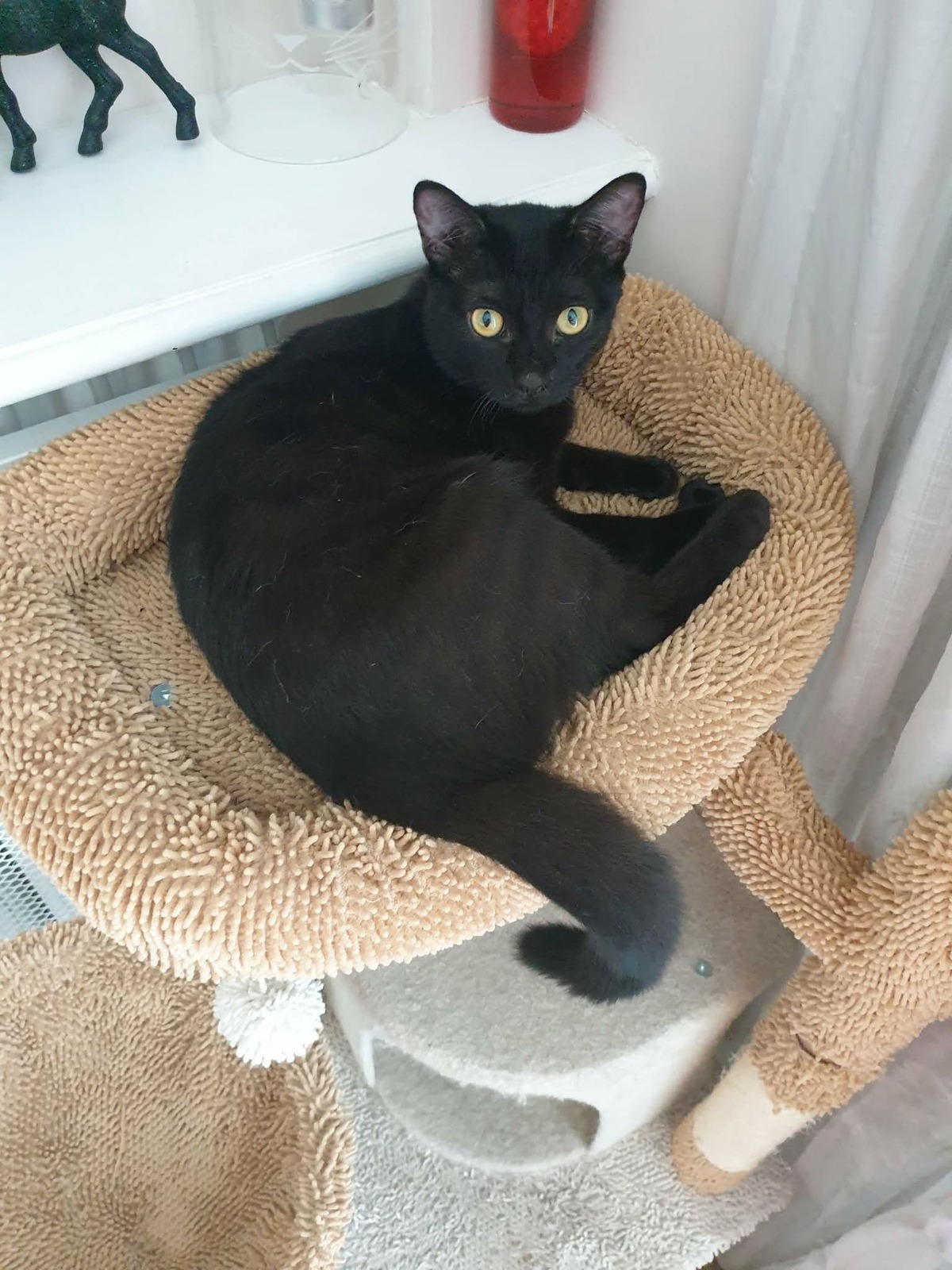 Adoption Marie-Oceane 