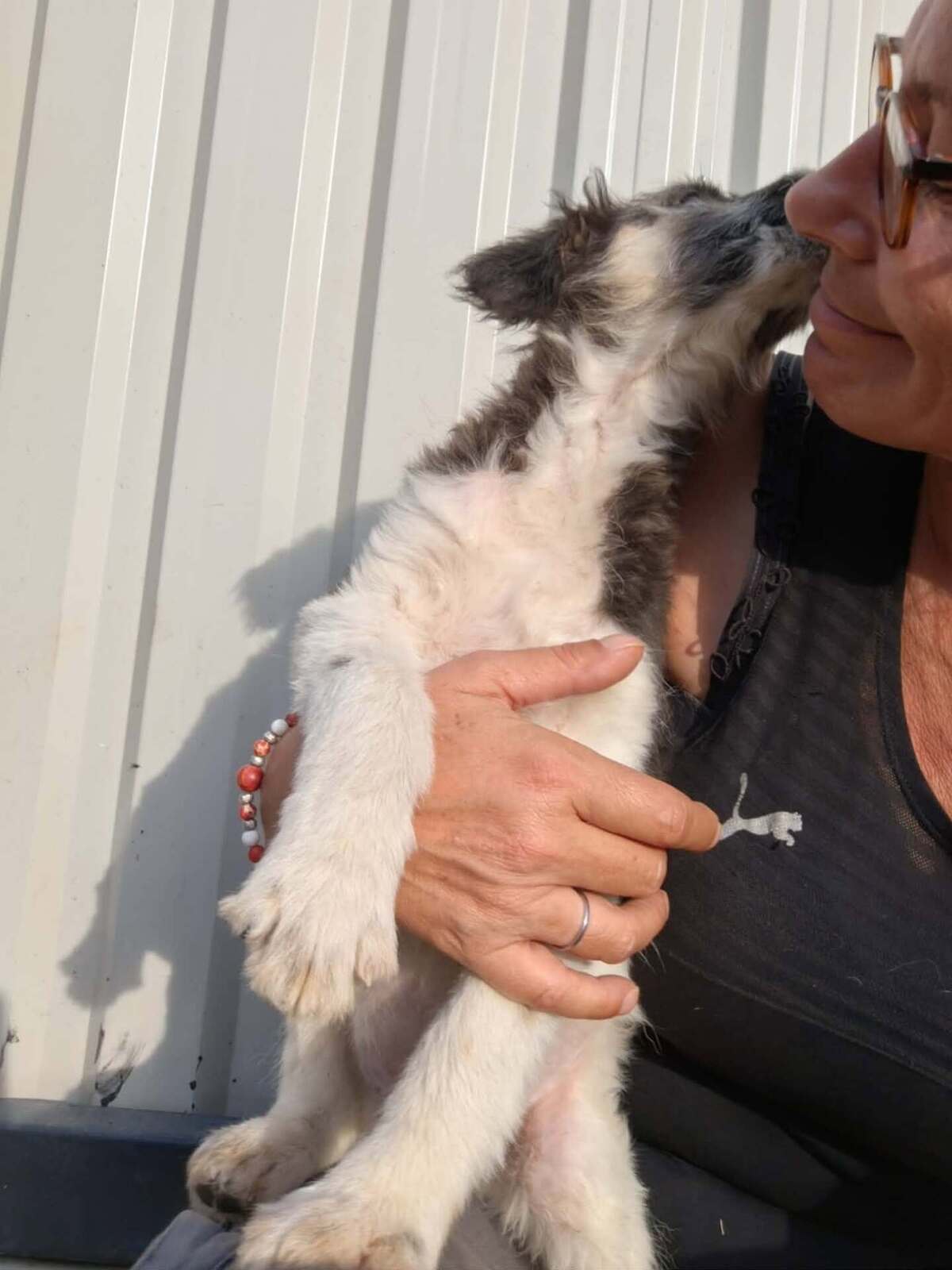 Adoption Muffin
