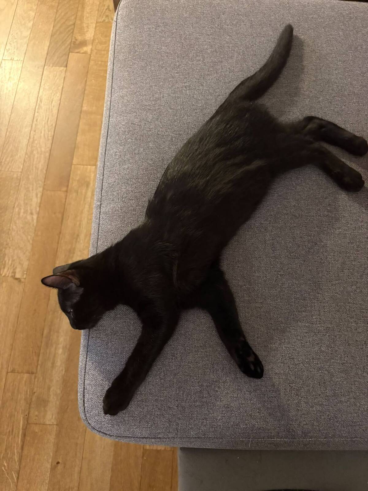 Adoption Odin