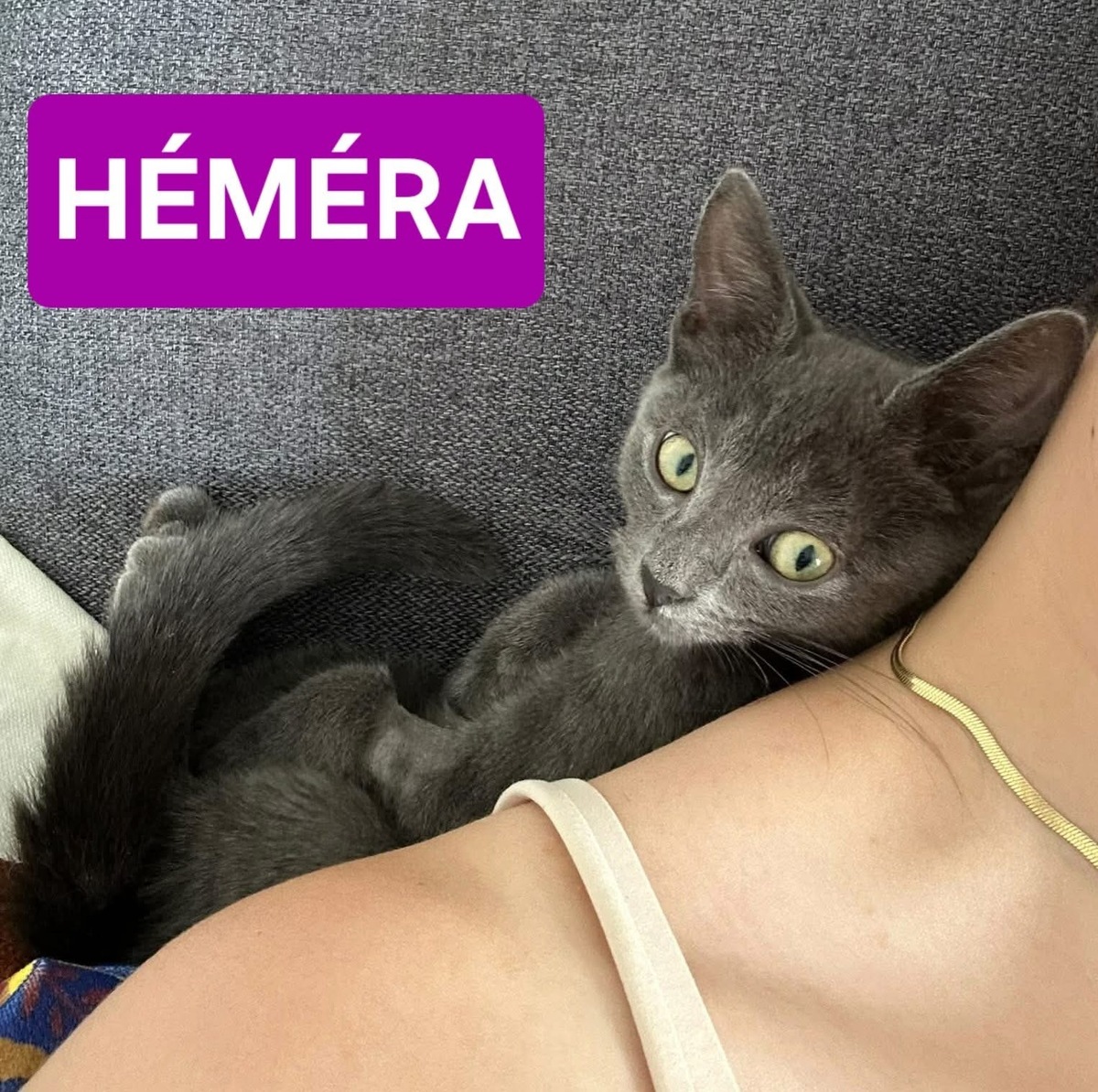 Adoption Addicie et Héméra 