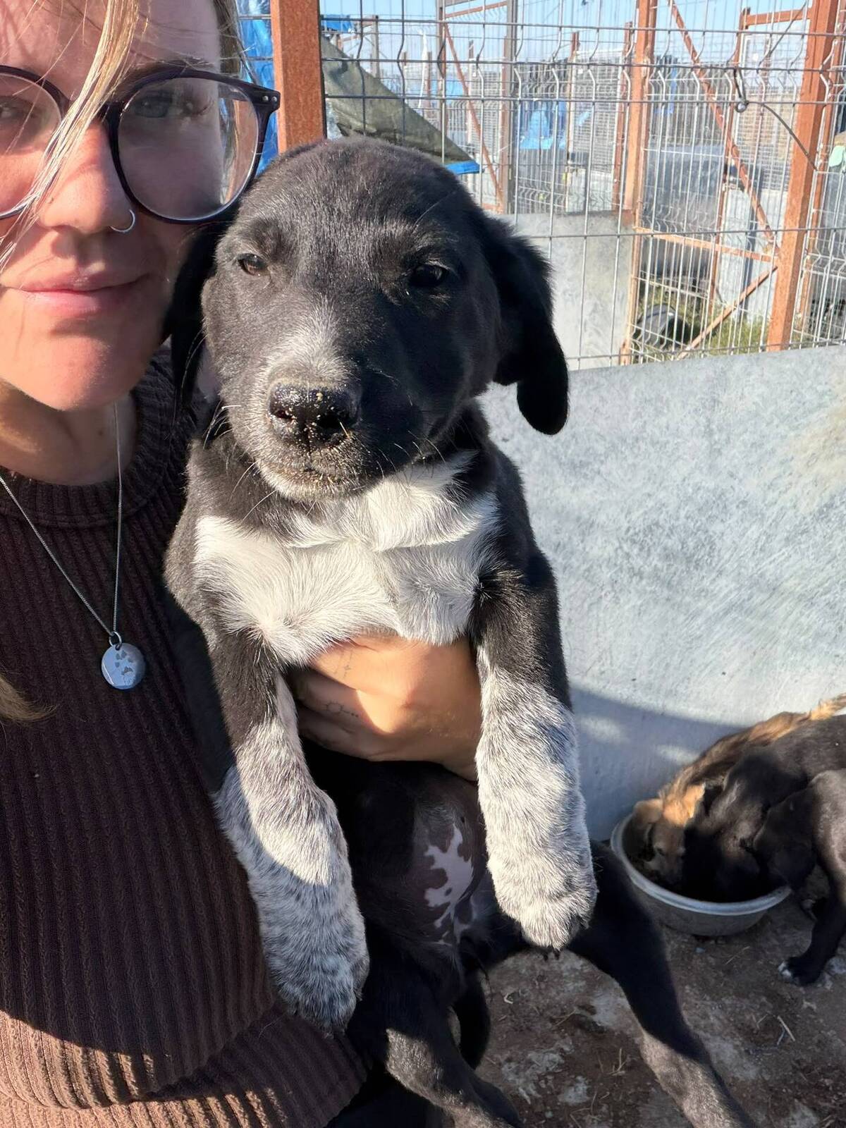 Adoption Honey